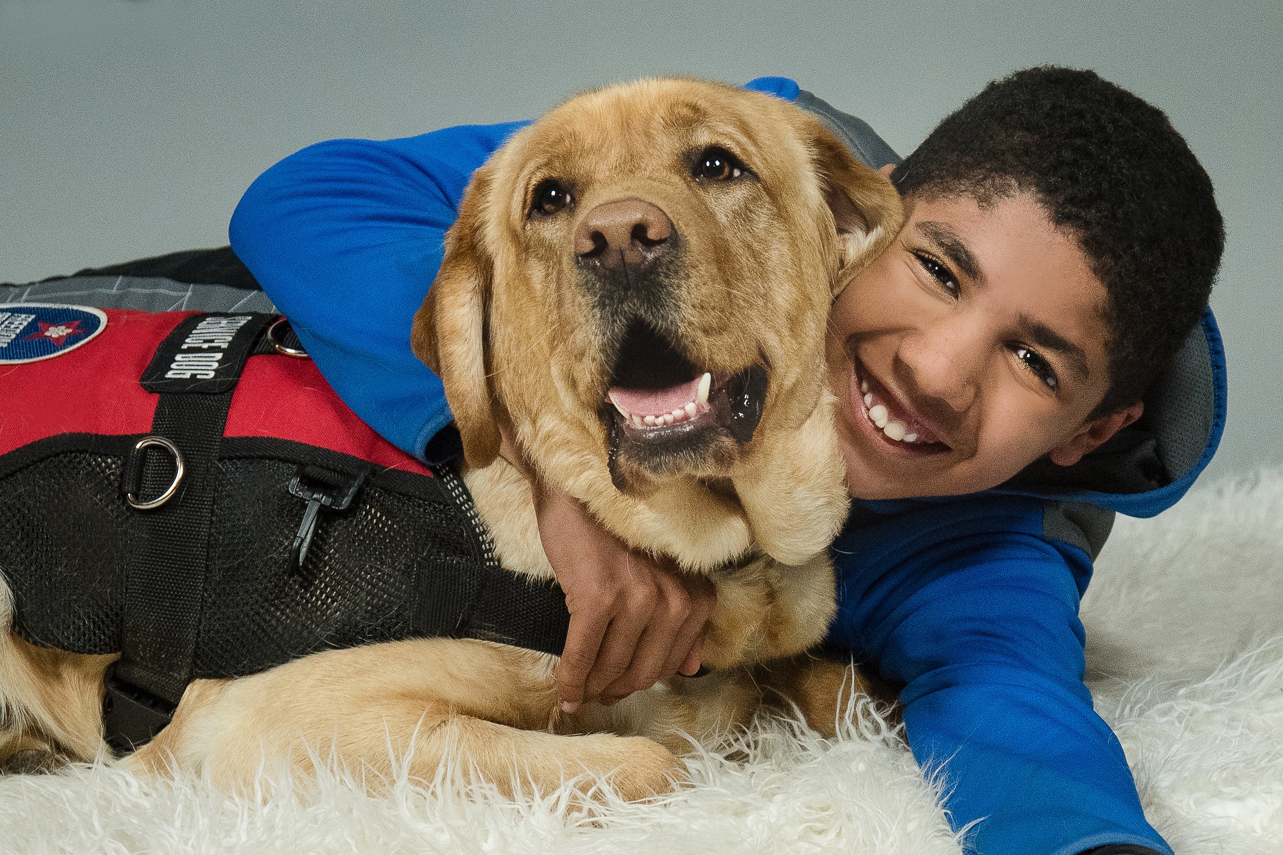 Boy lying on the floor with a golden retriever wearing a harness, both smiling happily.