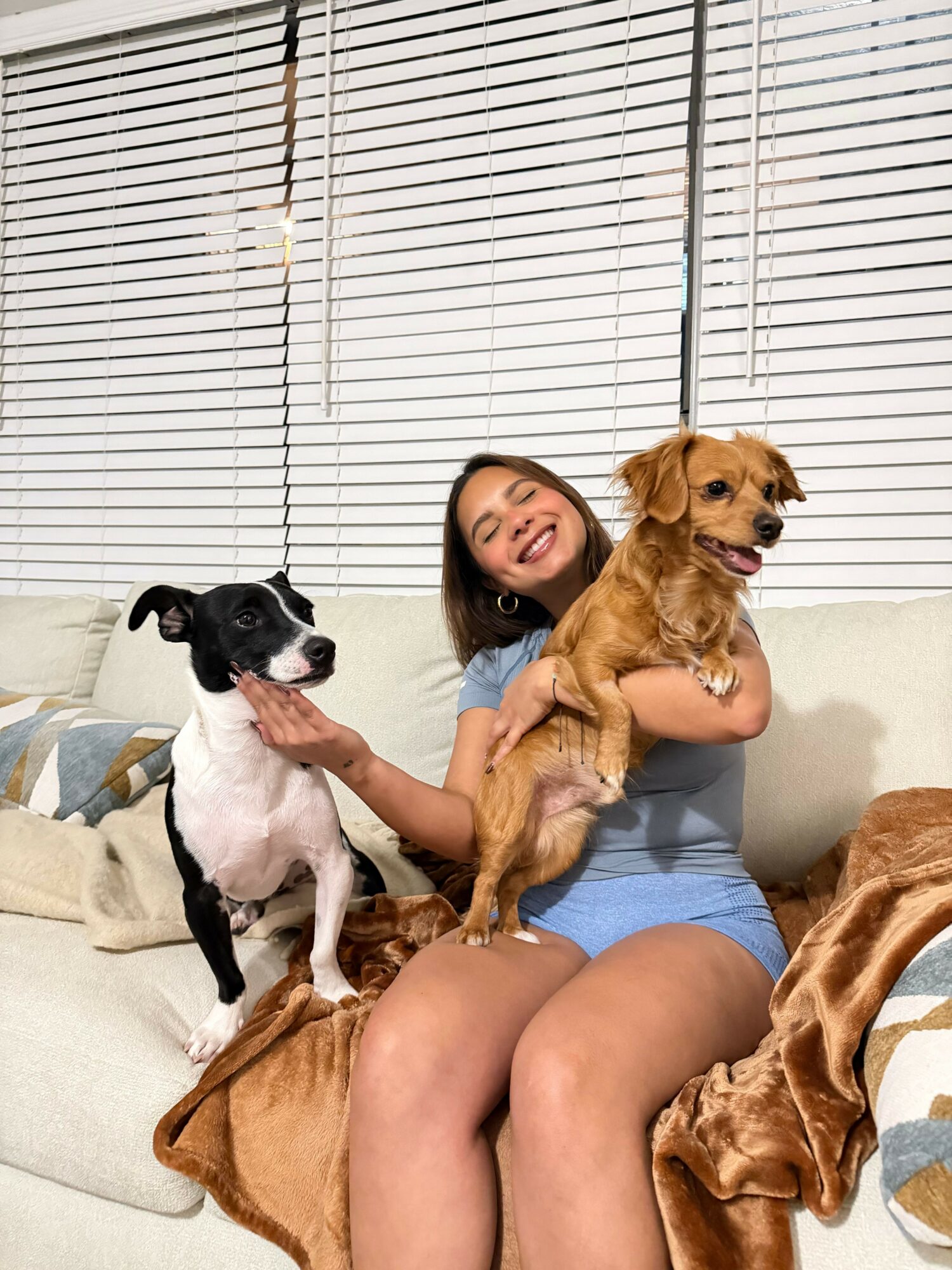 Person sitting on a couch with two dogs, one brown and one black and white, in a room with blinds and a blanket.