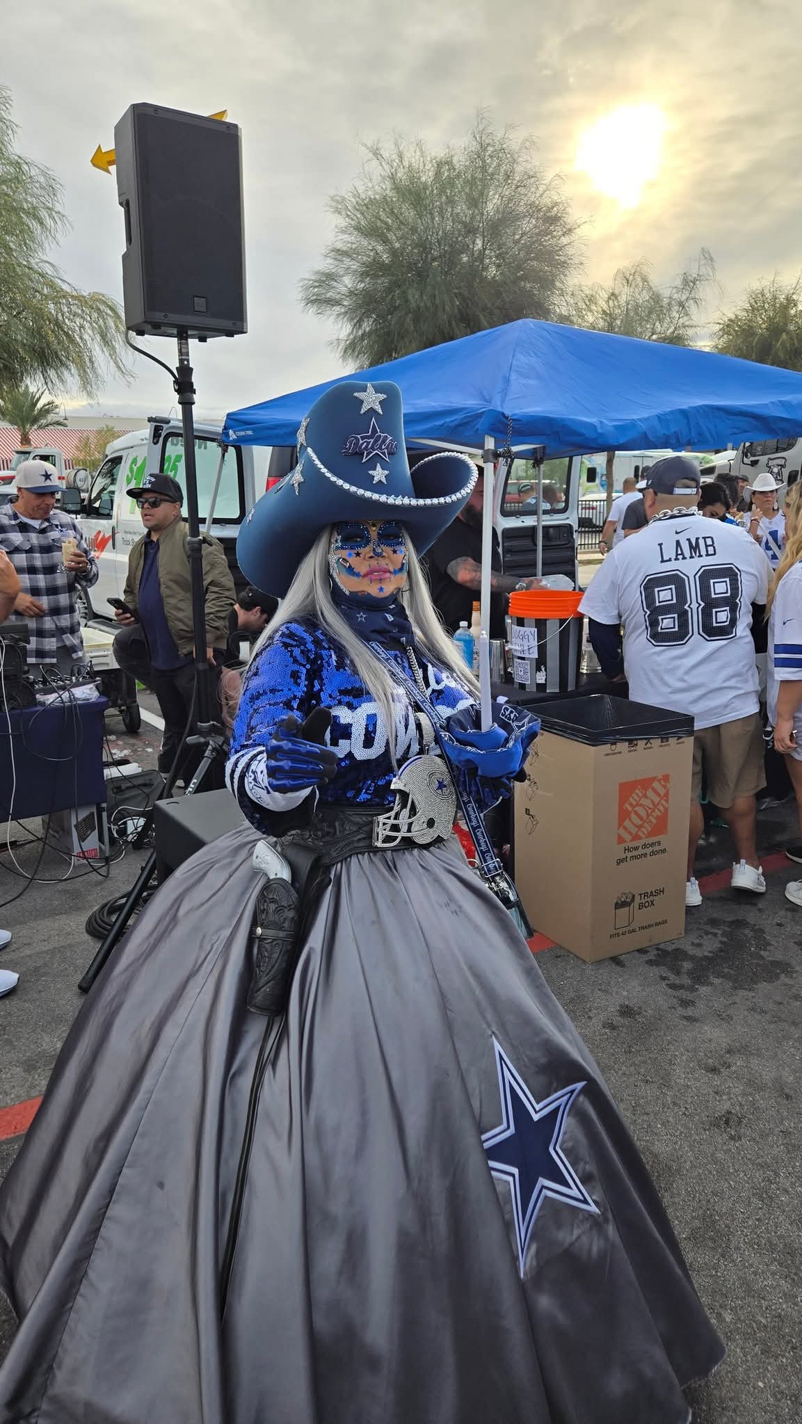 Person dressed as a fantasy character in a blue and silver costume with a large hat, at an outdoor event.
