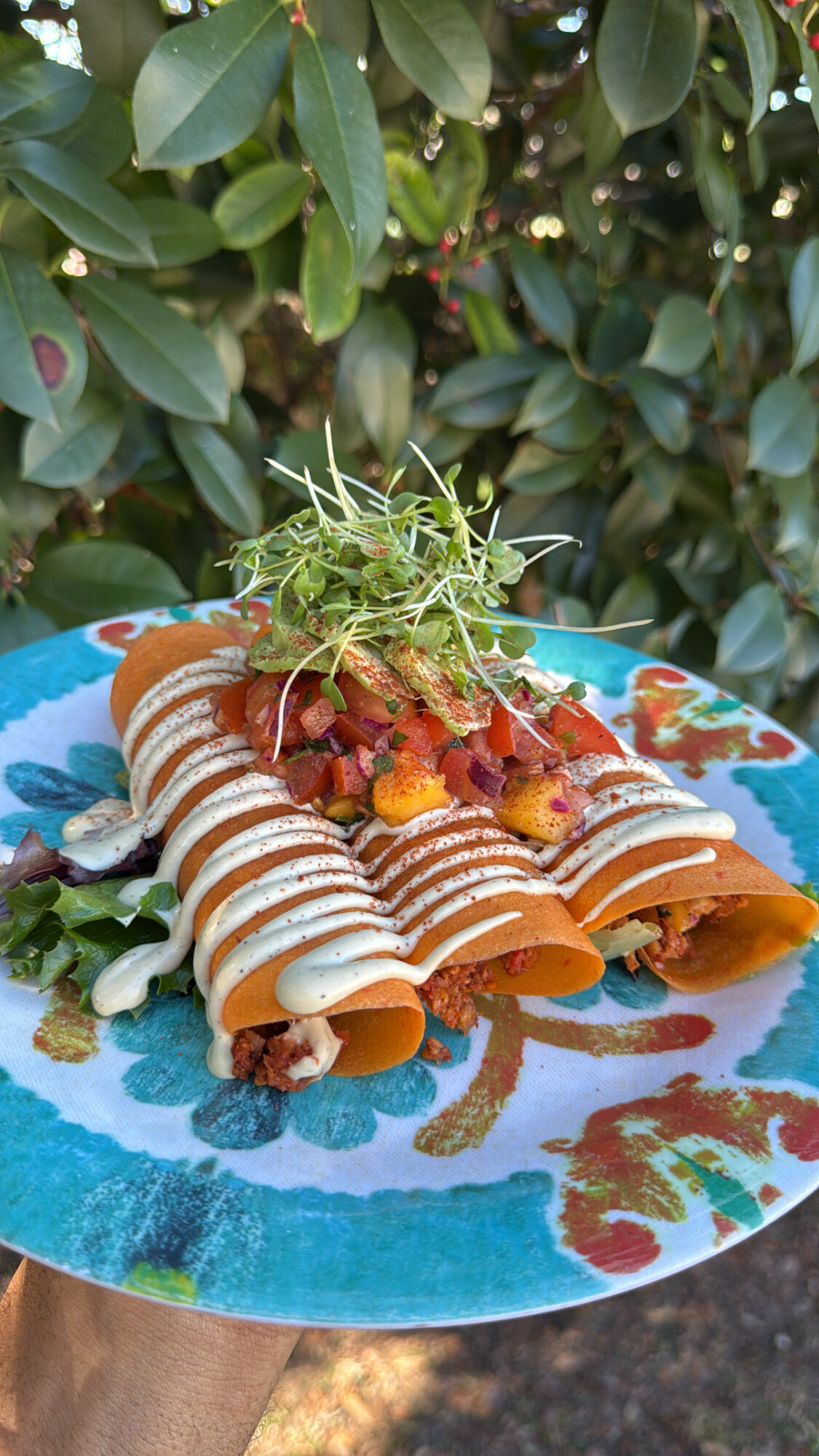 Stacked rolled crepes topped with sauce, garnished with microgreens, served on a colorful plate with leafy background.