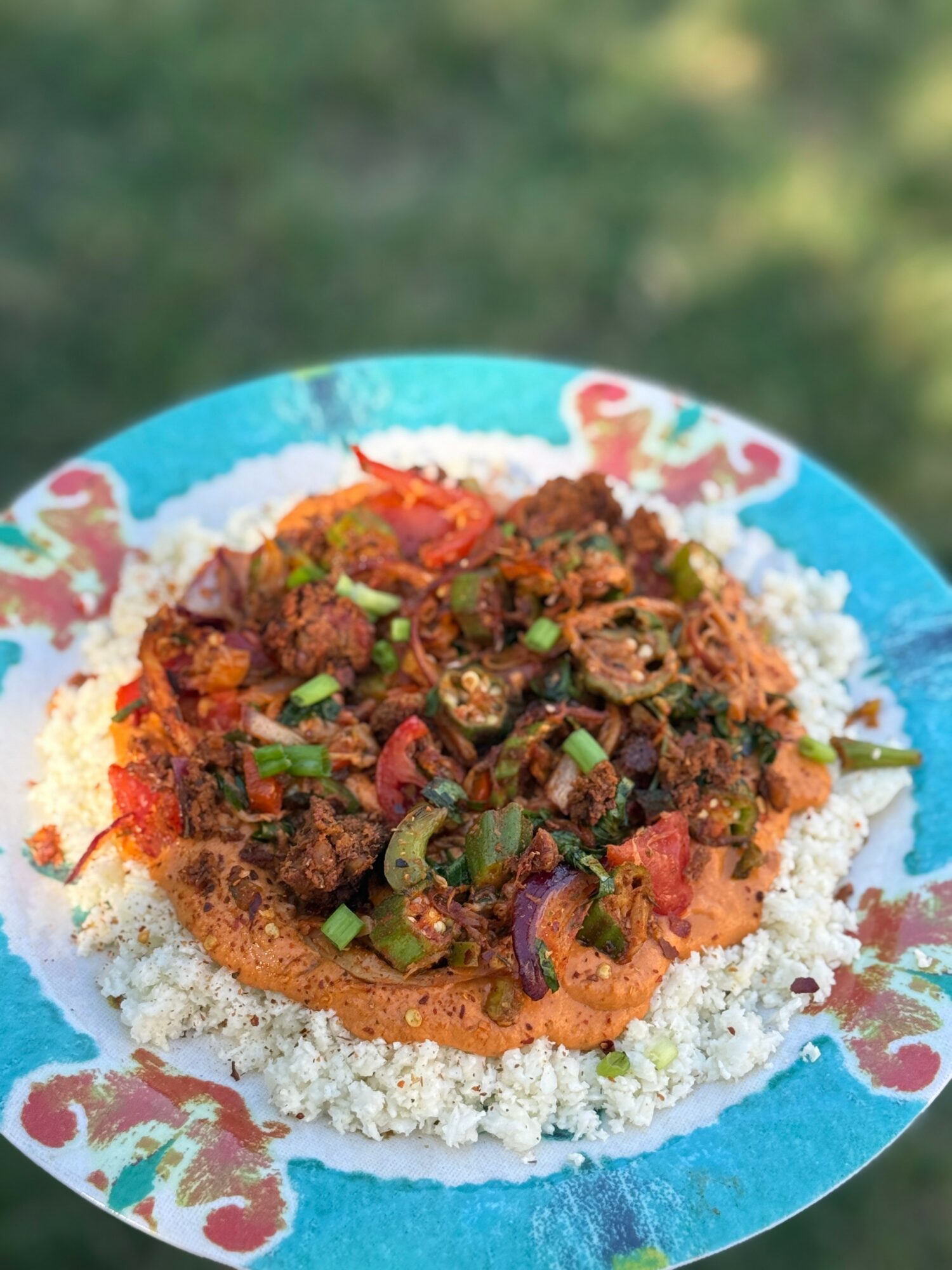 Plate with rice and spicy meat stew garnished with chopped green onions, on a colorful decorative plate, outdoors.