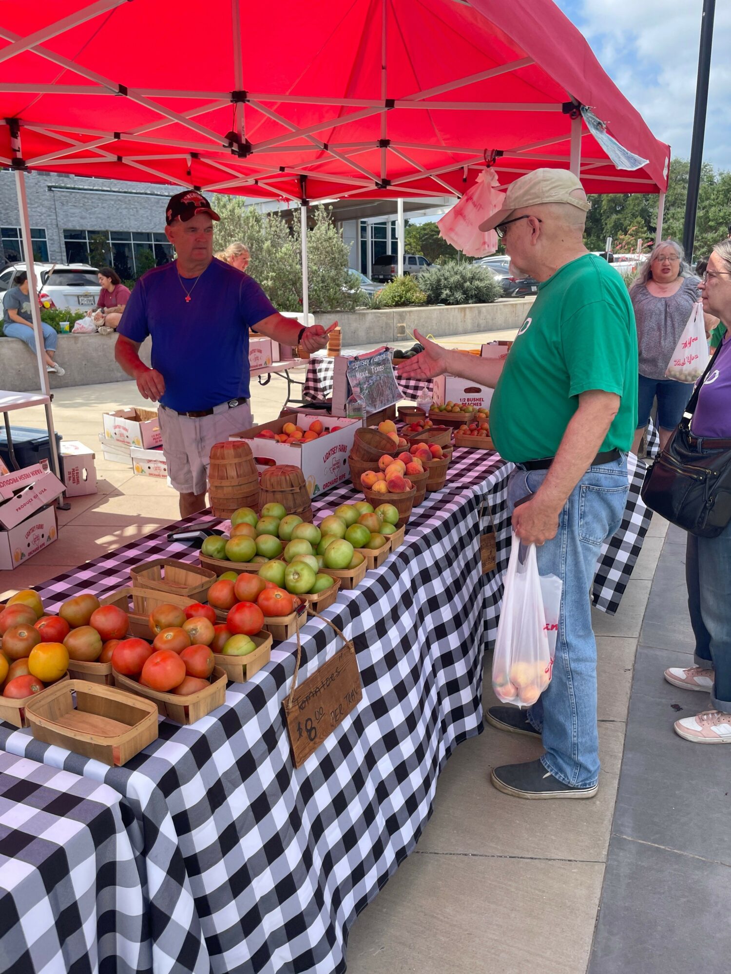 People browsing a fruit stand with apples and peaches under a red canopy, outdoor market setting, checkered tablecloth, and cloudy sky.