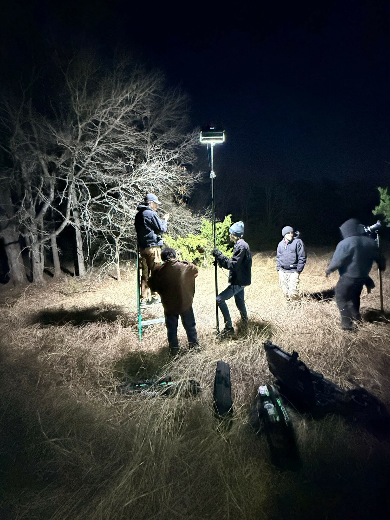 Group of people walking on a path at night with a streetlamp and leafless trees, illuminated by artificial light.