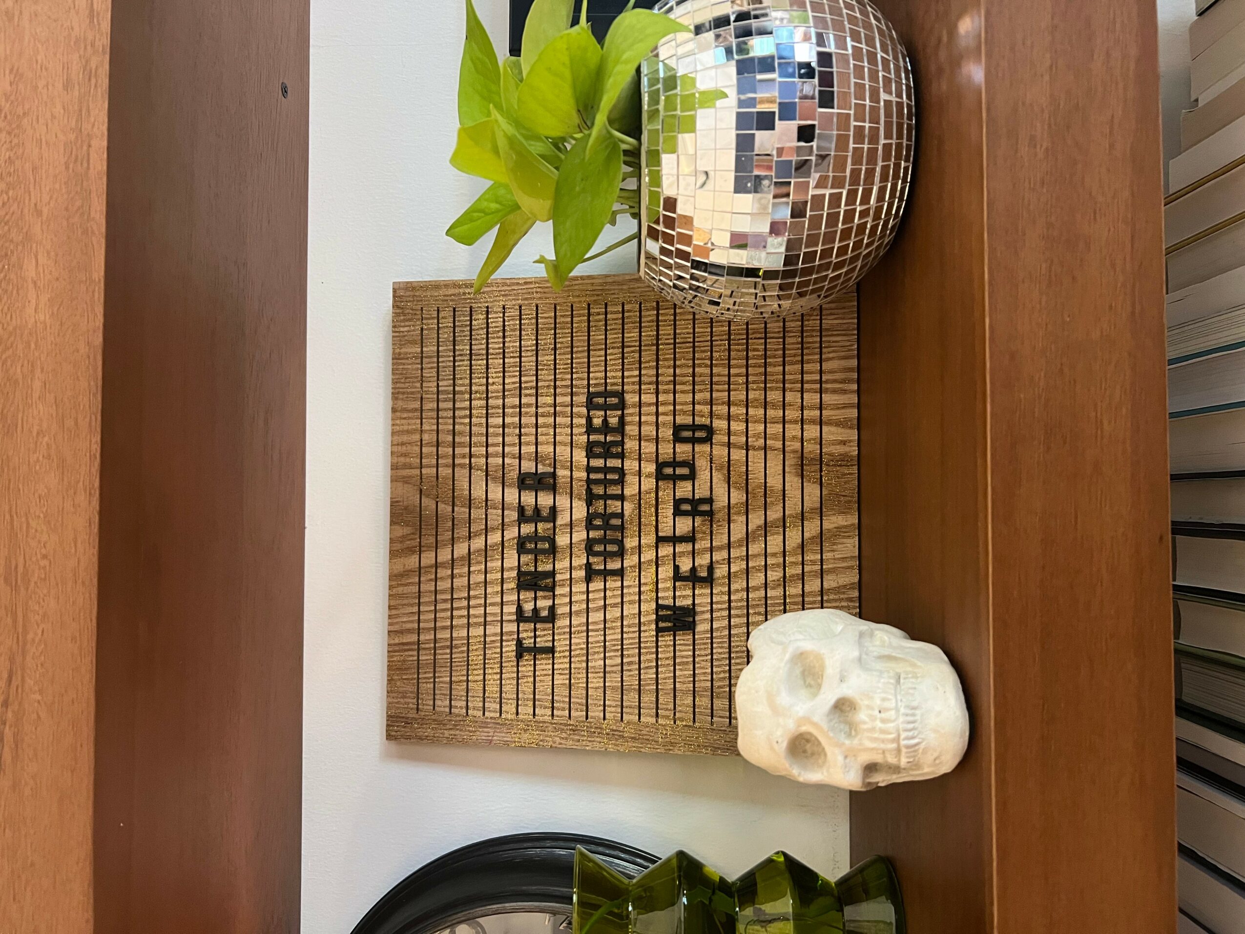Decorative wooden sign with black text, a skull, a green plant, and a mirrored sphere on a wooden surface.