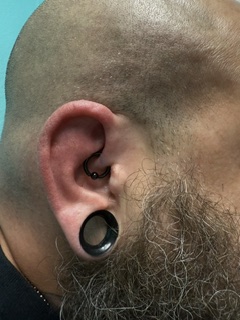 Close-up of a person's ear with multiple piercings and a black earbud, showing hair and skin details.