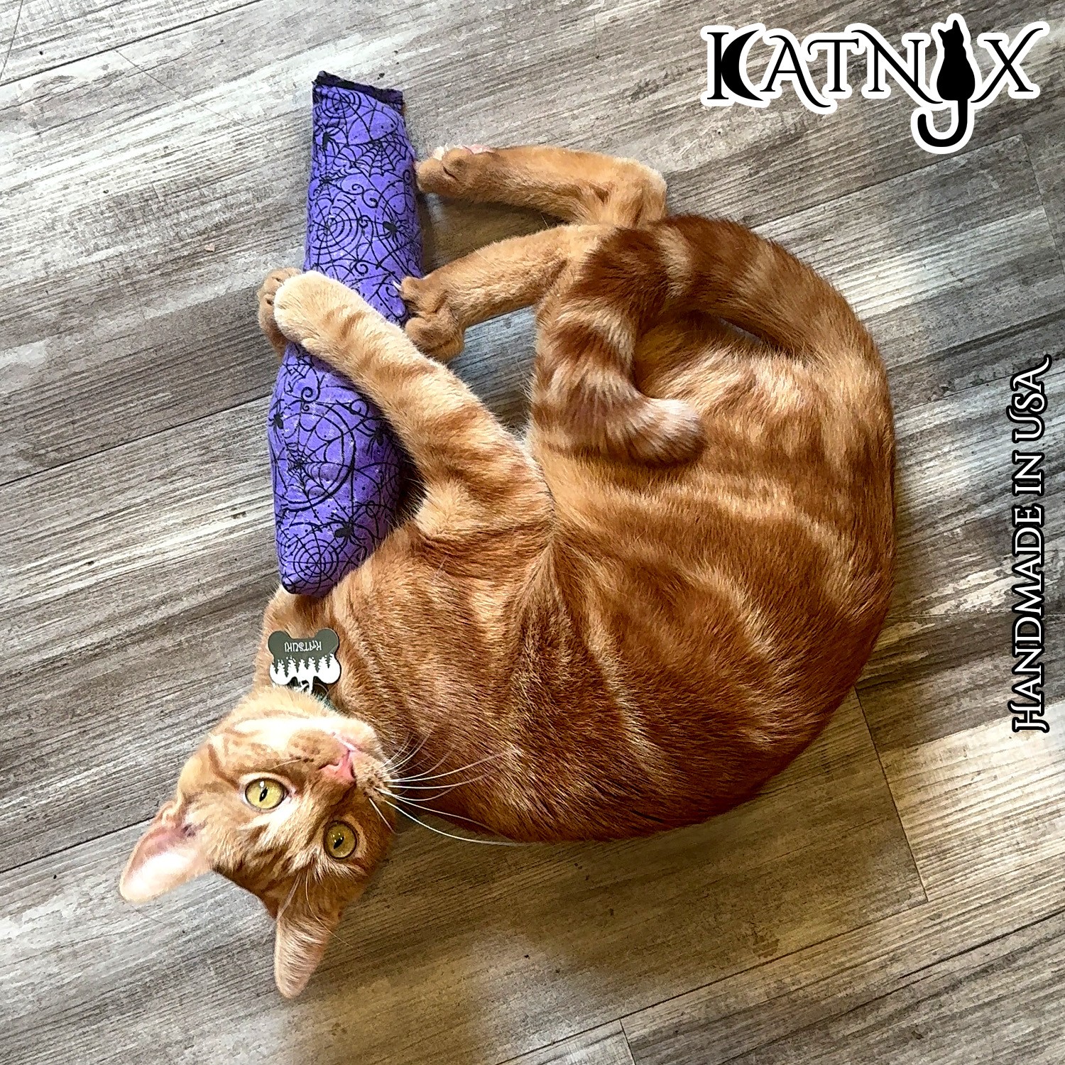 Orange tabby cat lying on wooden floor, playing with a purple toy, looking up at camera, with text and logo overlay.
