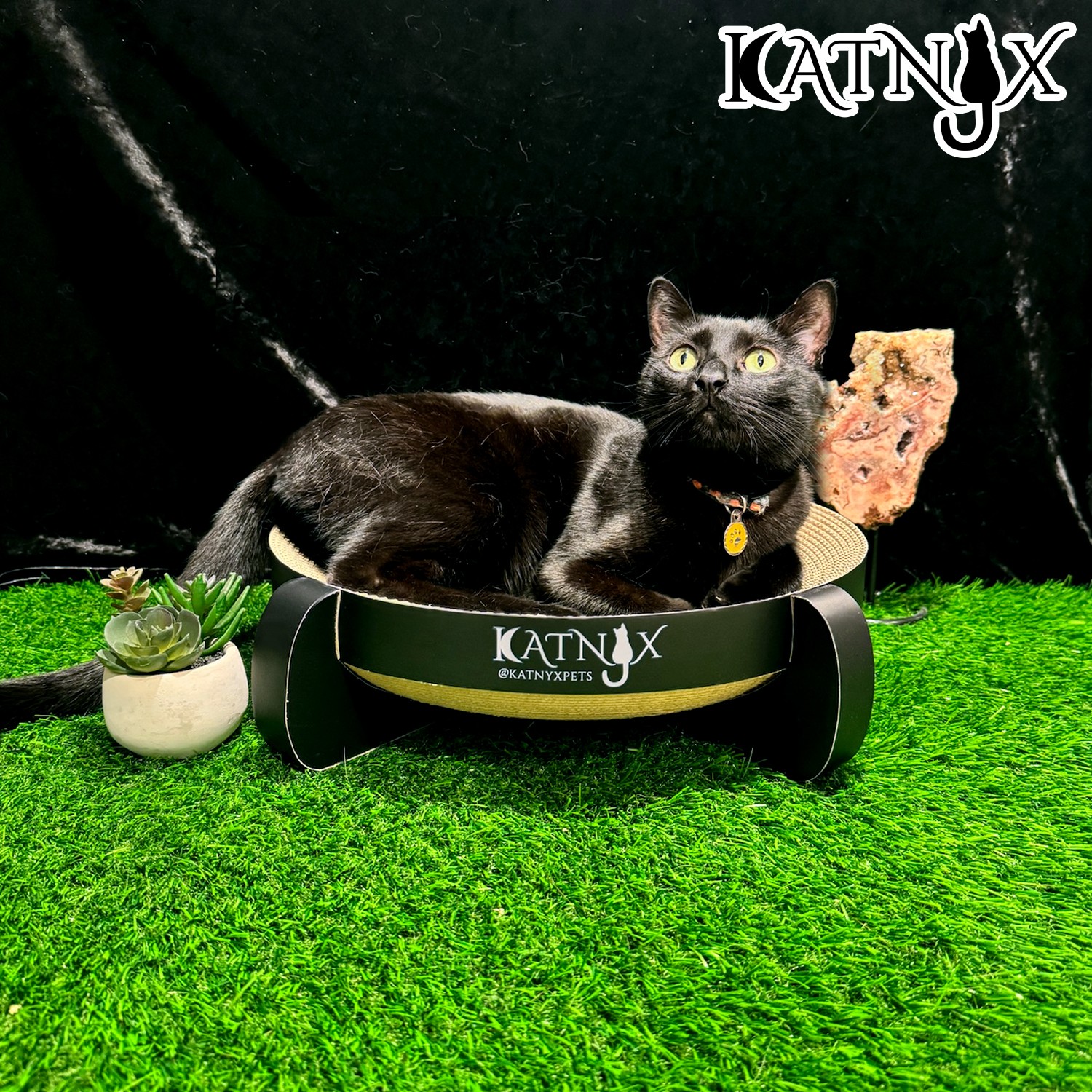 Black cat lying on a black platform with a yellow collar, next to a small potted plant, on green artificial grass.