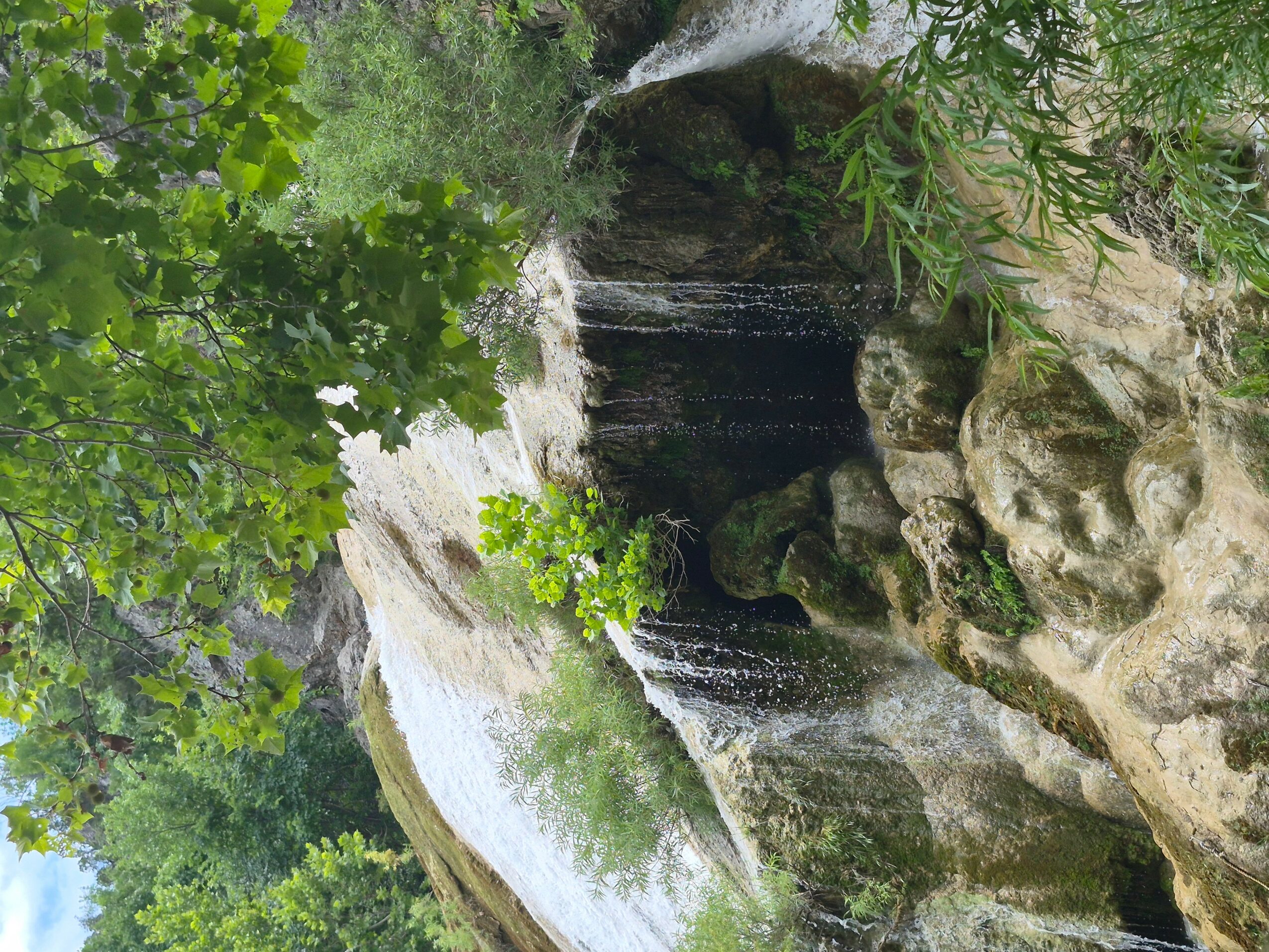 Water flows over rocks in a lush green forest, creating a small waterfall and stream.