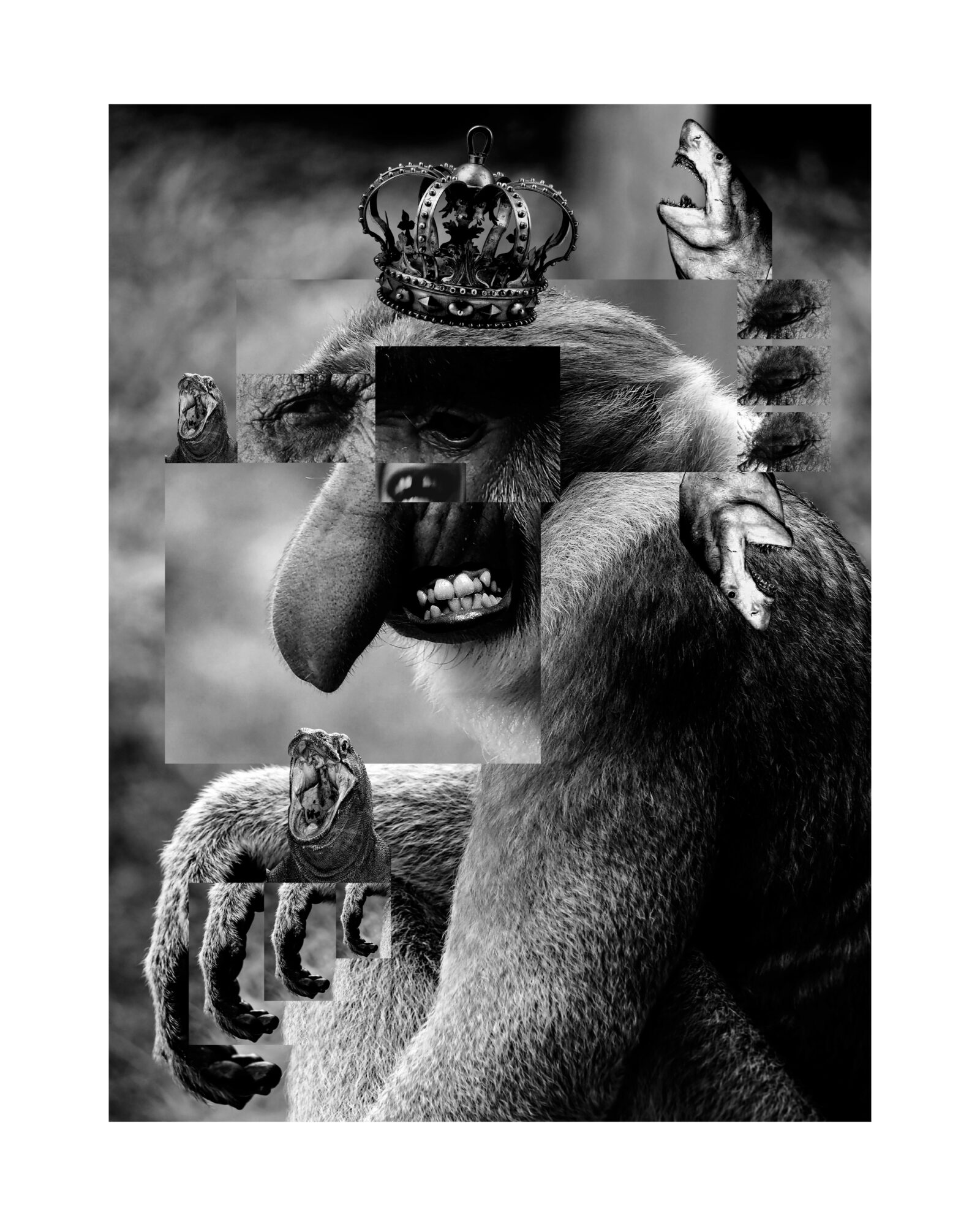 Collage of a gorilla with a crown, a lion, a hand, and abstract faces in black and white.