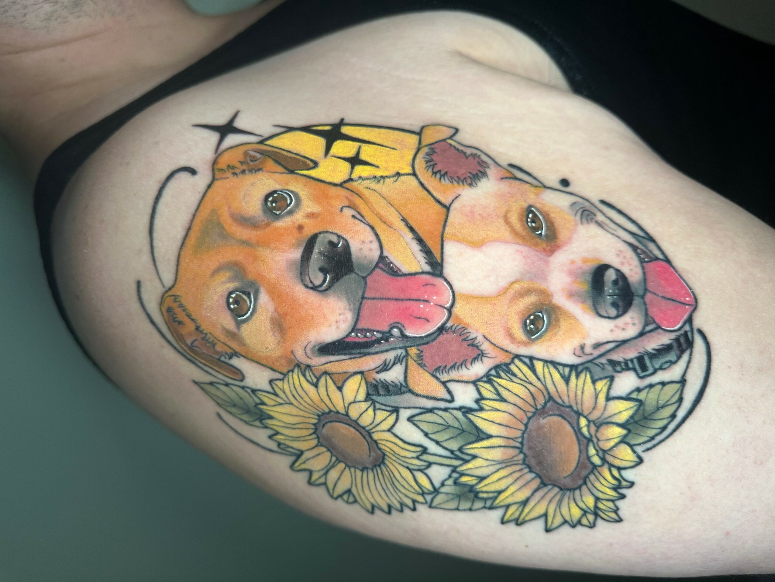 Tattoo of two dogs with sunflowers, one with tongue out, on person's shoulder, colorful and detailed.