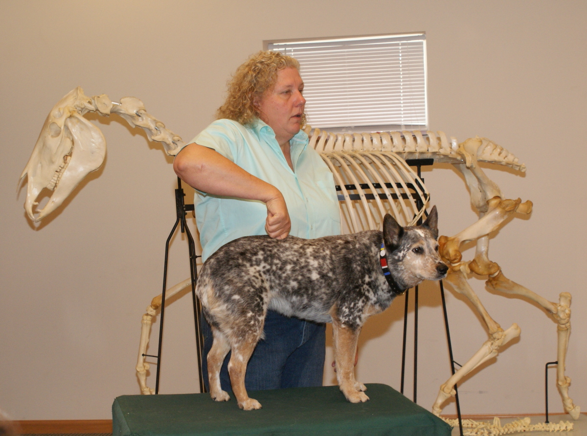 Woman with curly hair standing next to a dog on a table, with a large animal skeleton in the background.