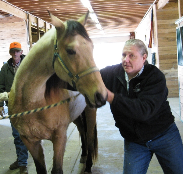 Man holding a horse's bridle inside a stable, with two other people in the background.