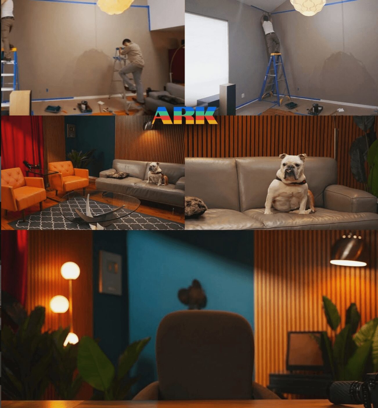 Person painting wall, living room with orange chairs, dog on sofa, cozy room with plants and warm lighting.