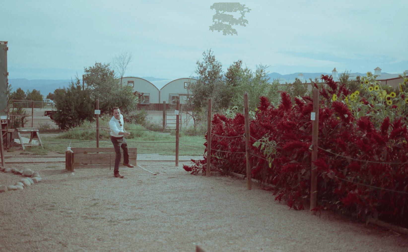 Person standing outdoors near a fence with bushes and trees, cloudy sky, and distant buildings.