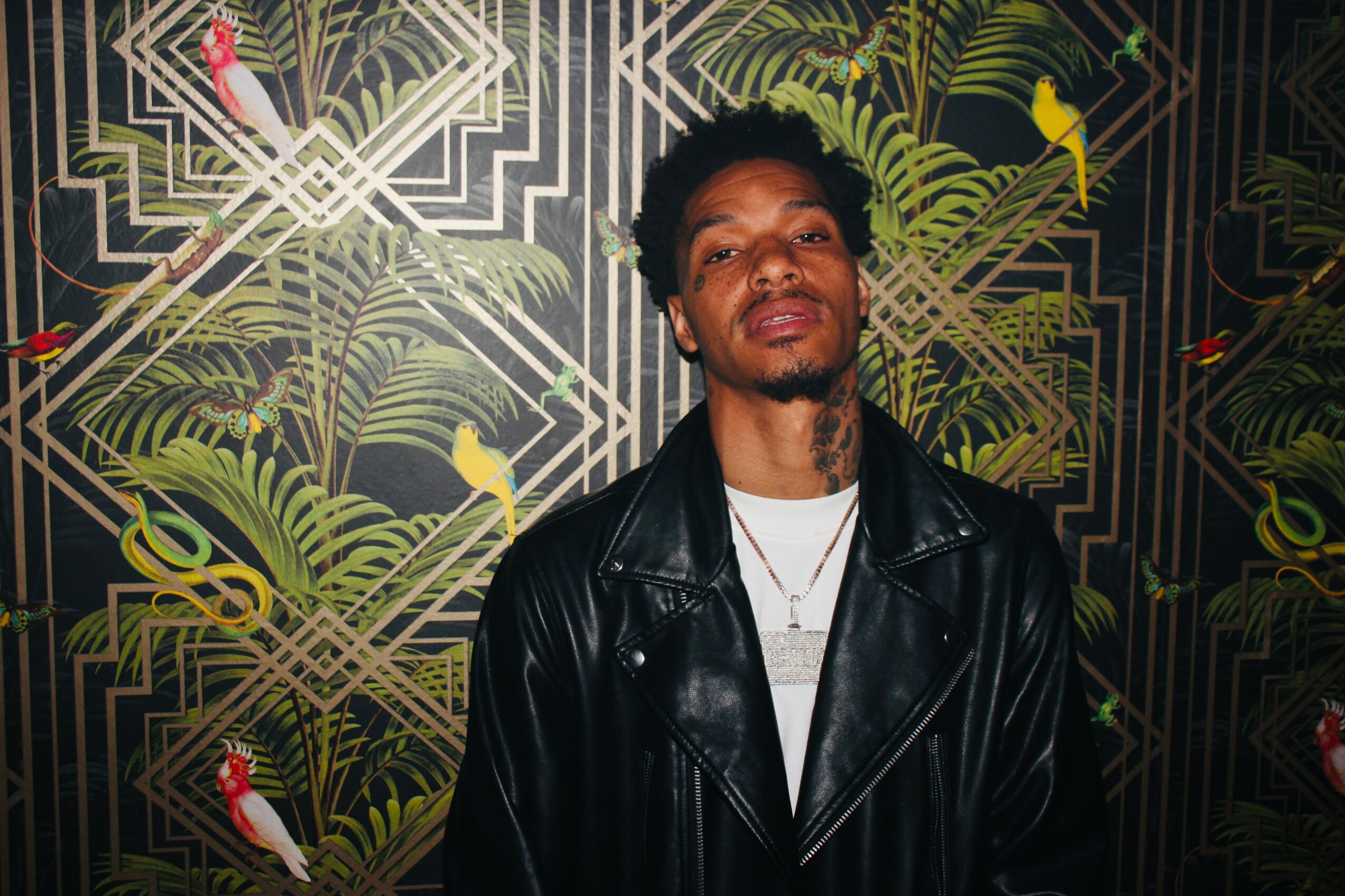 Young man with short hair and a goatee wearing a black leather jacket and white shirt, standing in front of a patterned background with plants and birds.