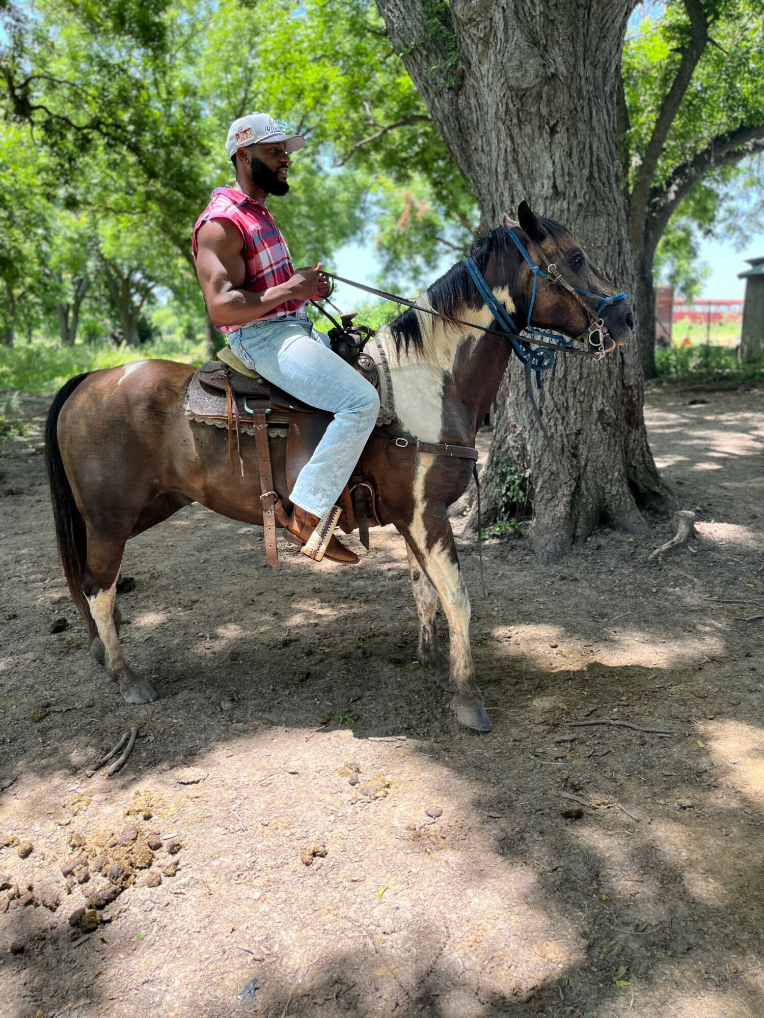 Person riding a horse outdoors near a large tree, wearing a pink shirt, white pants, and a cap.