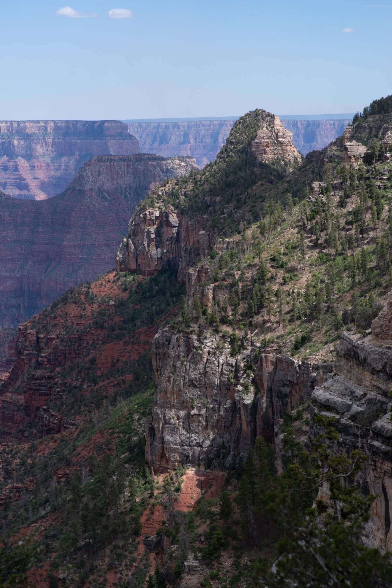 Cliffside view of layered rock formations and green vegetation at Grand Canyon, blue sky above.