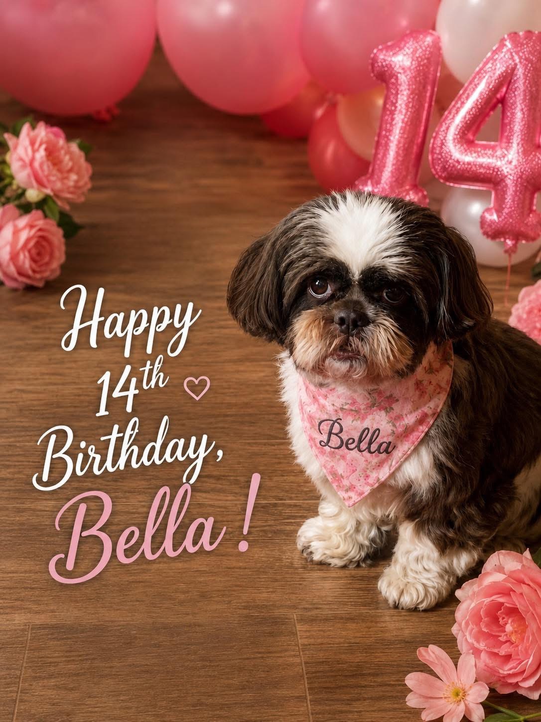 Small dog wearing a pink bandana with the name Bella, surrounded by pink balloons and flowers for a 14th birthday celebration.