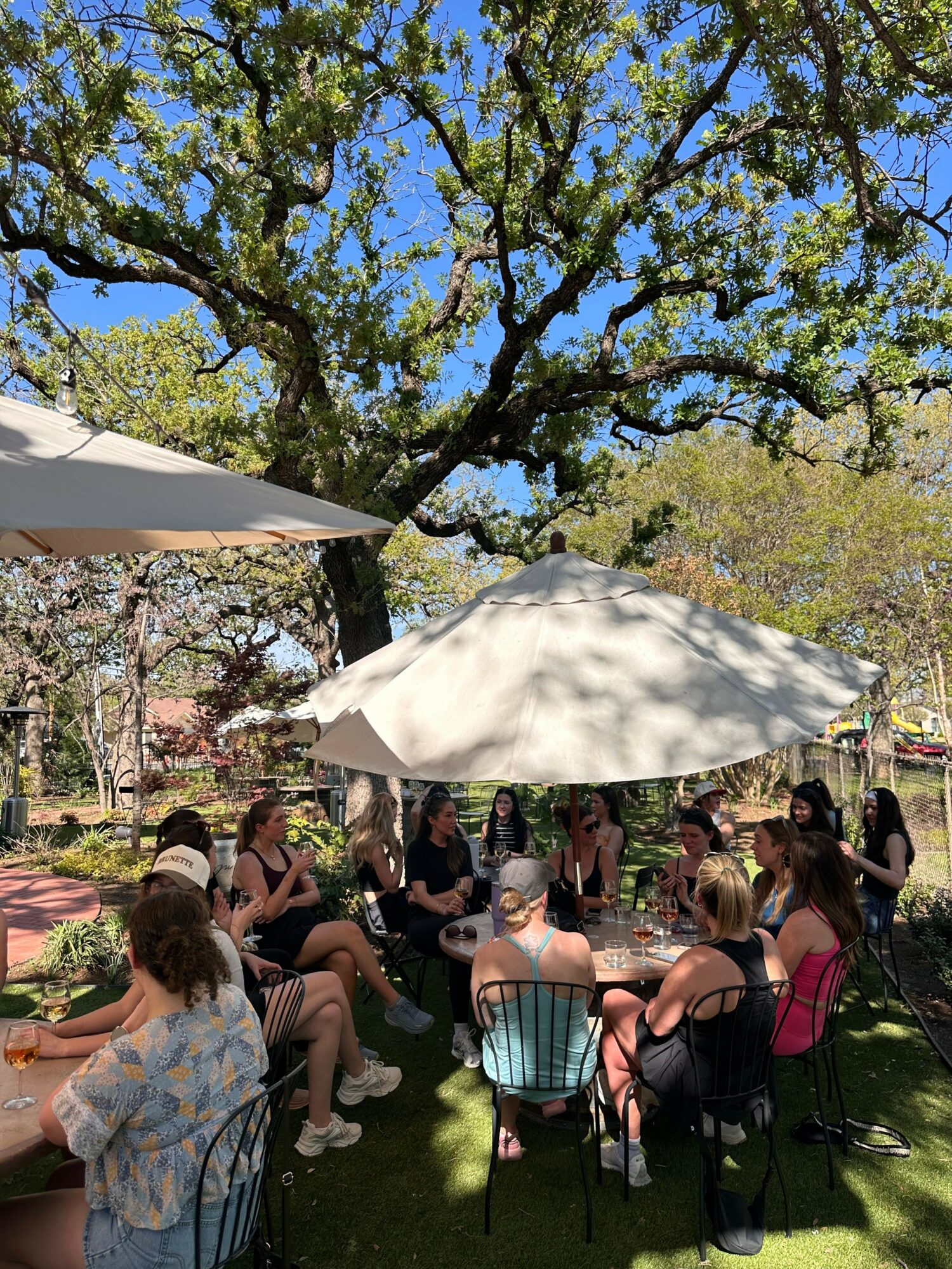 Group of people gathered outdoors under umbrellas, with trees and blue sky in the background.