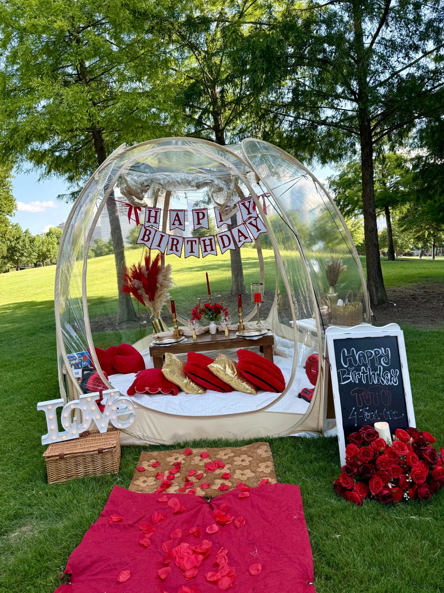 Outdoor birthday celebration setup with a transparent dome, decorated with flowers, candles, and a chalkboard sign, on a grassy area with trees.