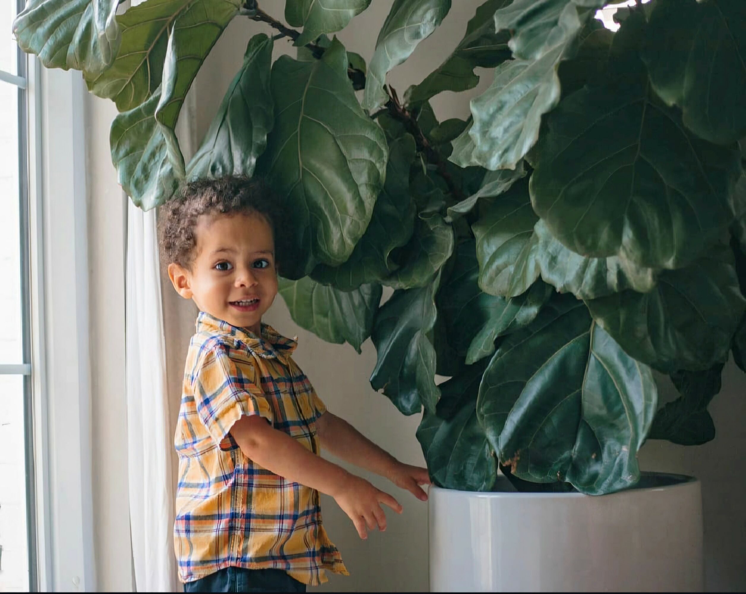 Child with curly hair wearing a plaid shirt standing next to a large potted plant indoors.
