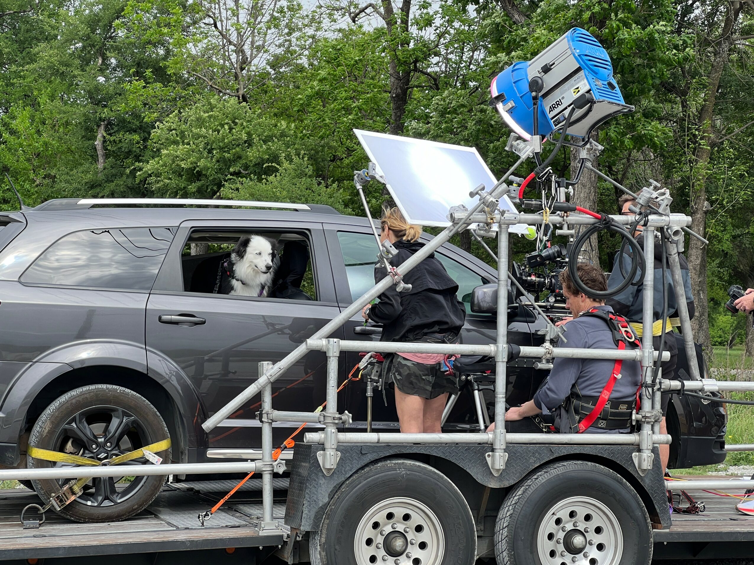 Dog looking out of car window with film crew and equipment on a trailer, outdoors with trees in background.