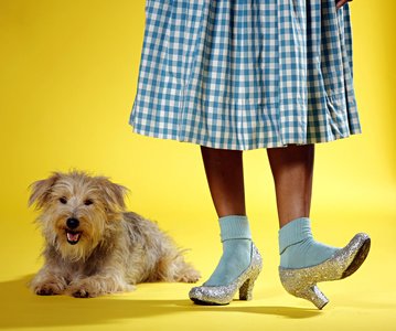Person wearing a blue checkered dress and glittery high heels, standing next to a small, fluffy dog on a yellow background.