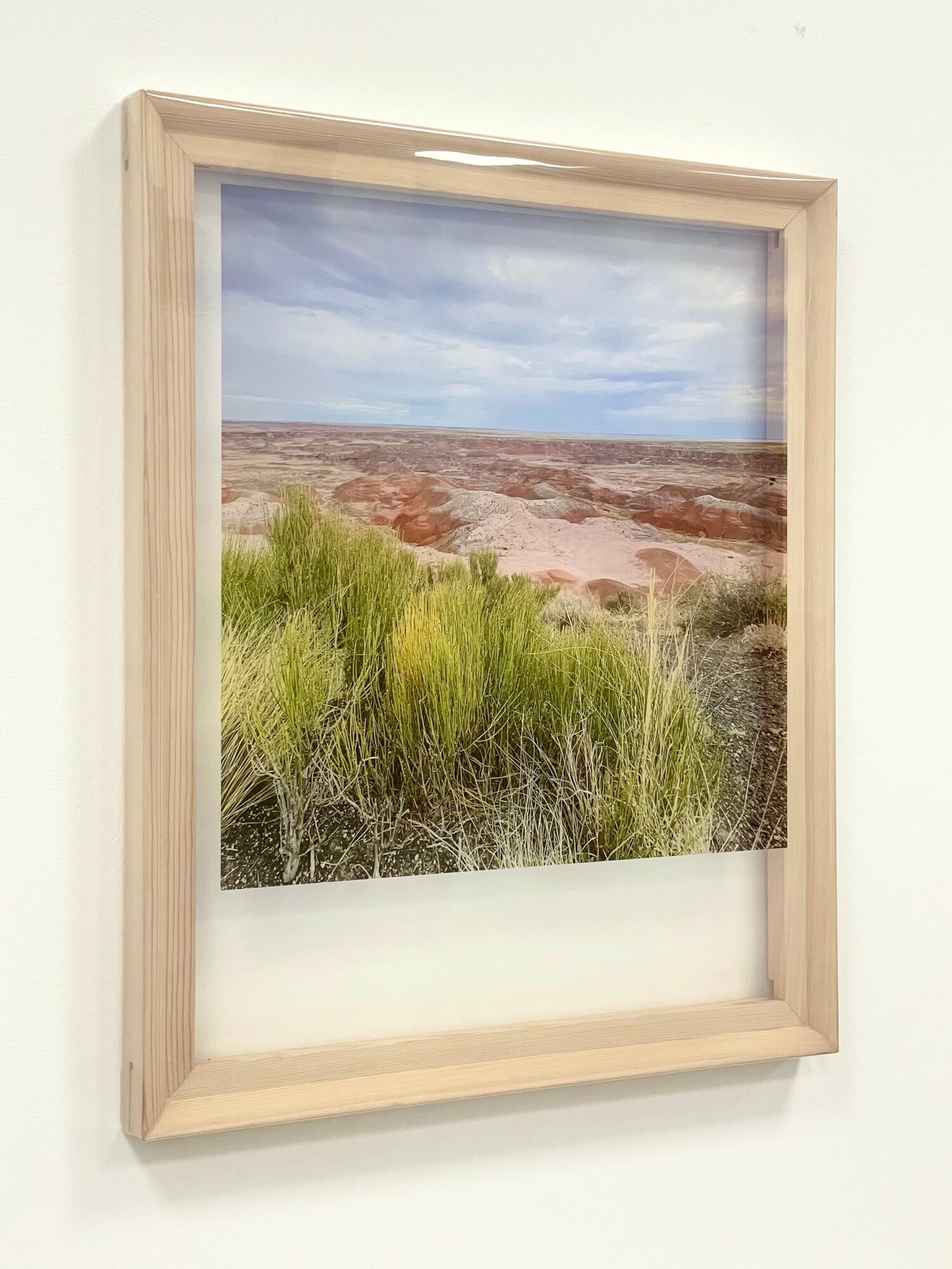 Framed landscape photograph of a desert scene with green bushes in the foreground and a vast, cloudy sky above.
