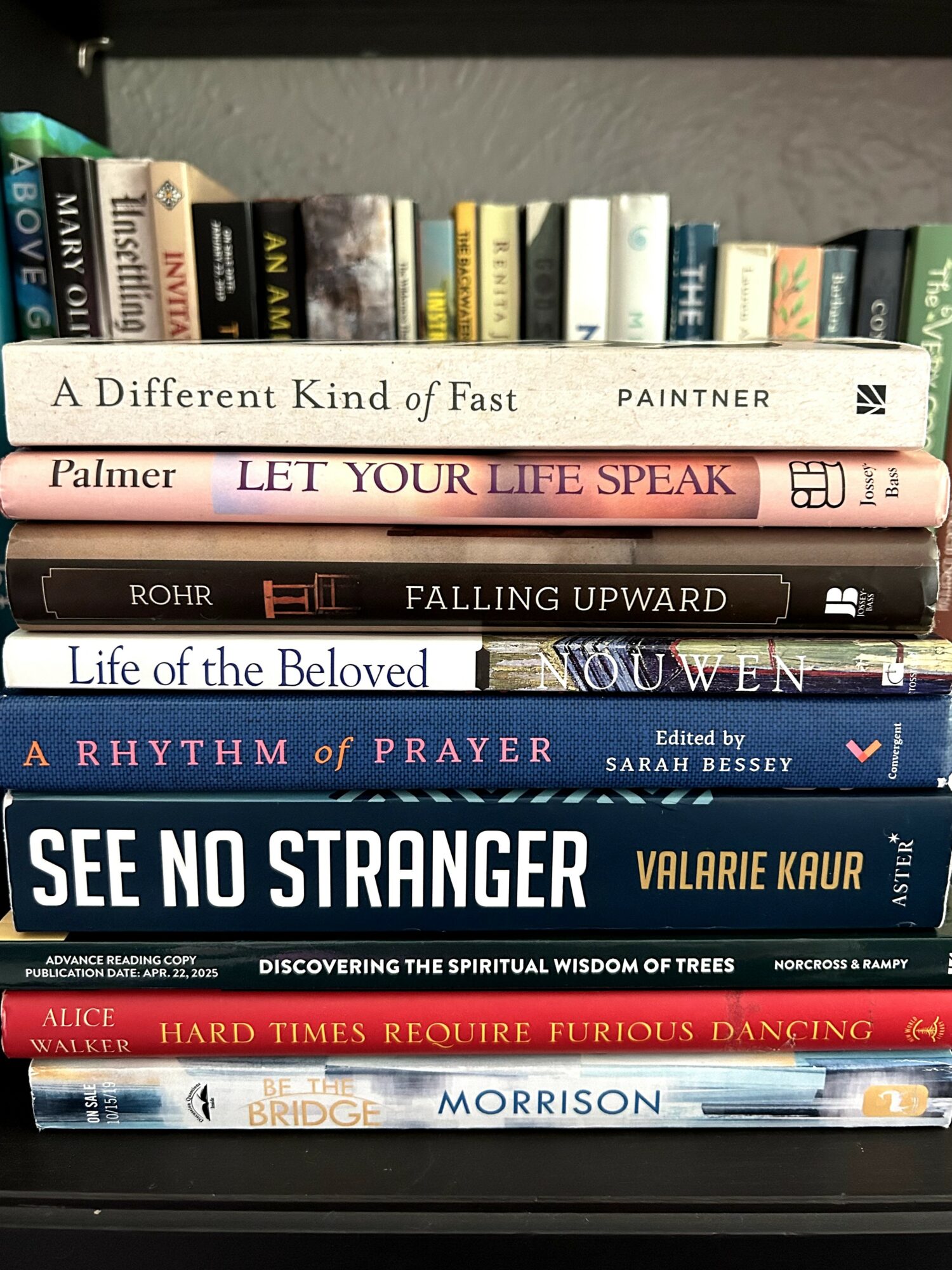 Stack of books on a shelf with titles visible, including 'A Different Kind of Fast' and 'See No Stranger'.