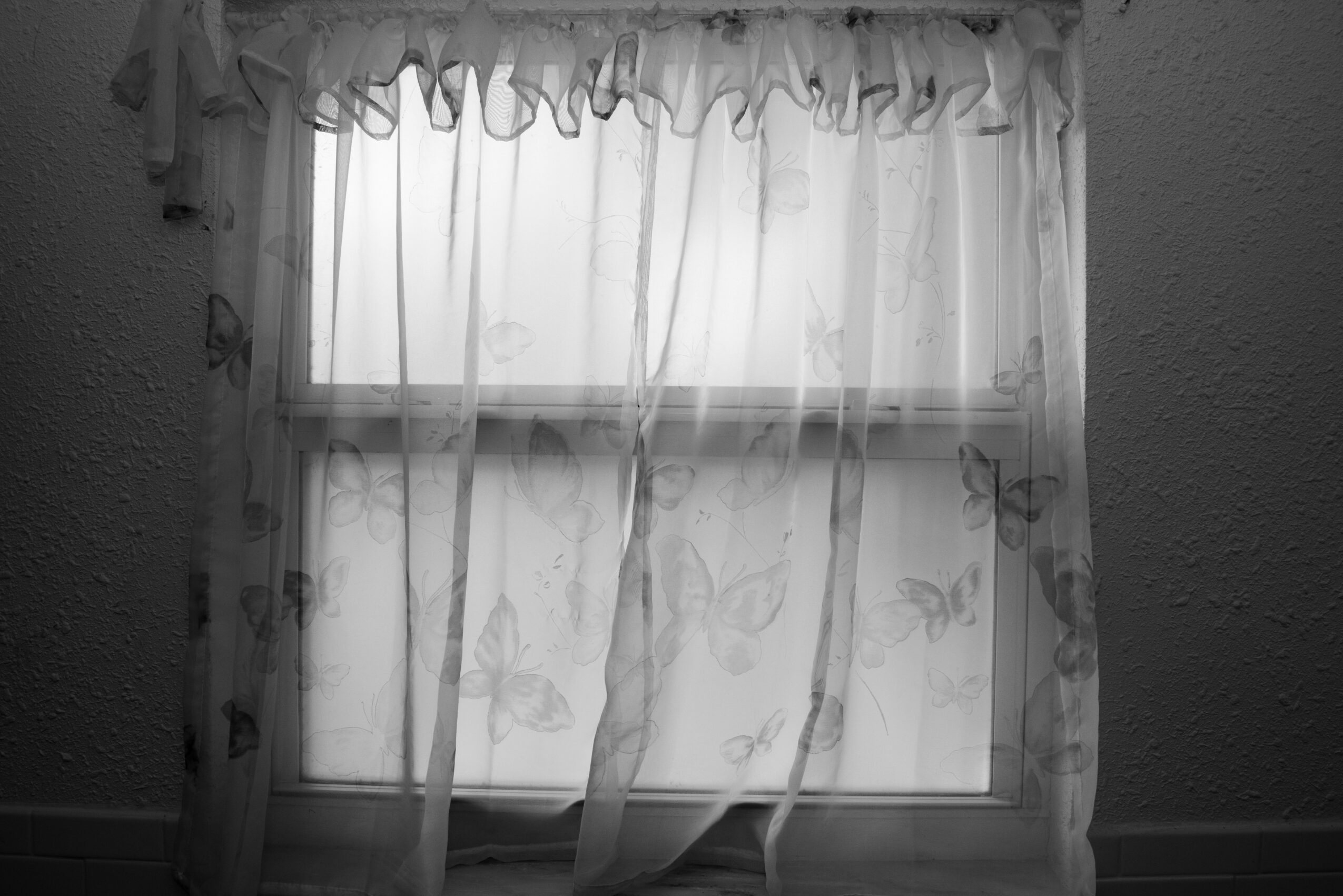 Window with sheer curtains covering a bright outdoor scene, textured wall on either side