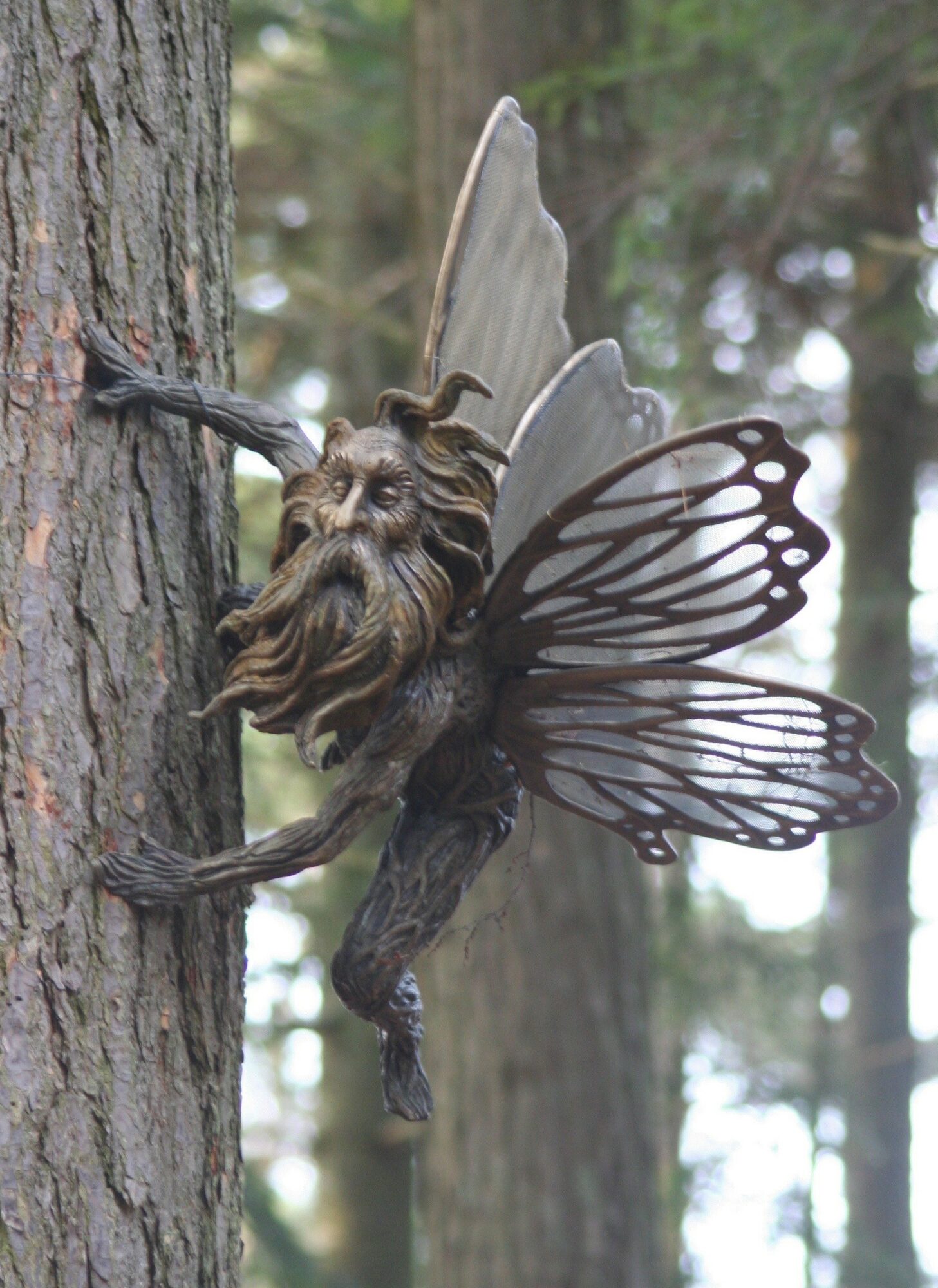 Fairy with a beard and butterfly wings clings to a tree trunk in a forest.