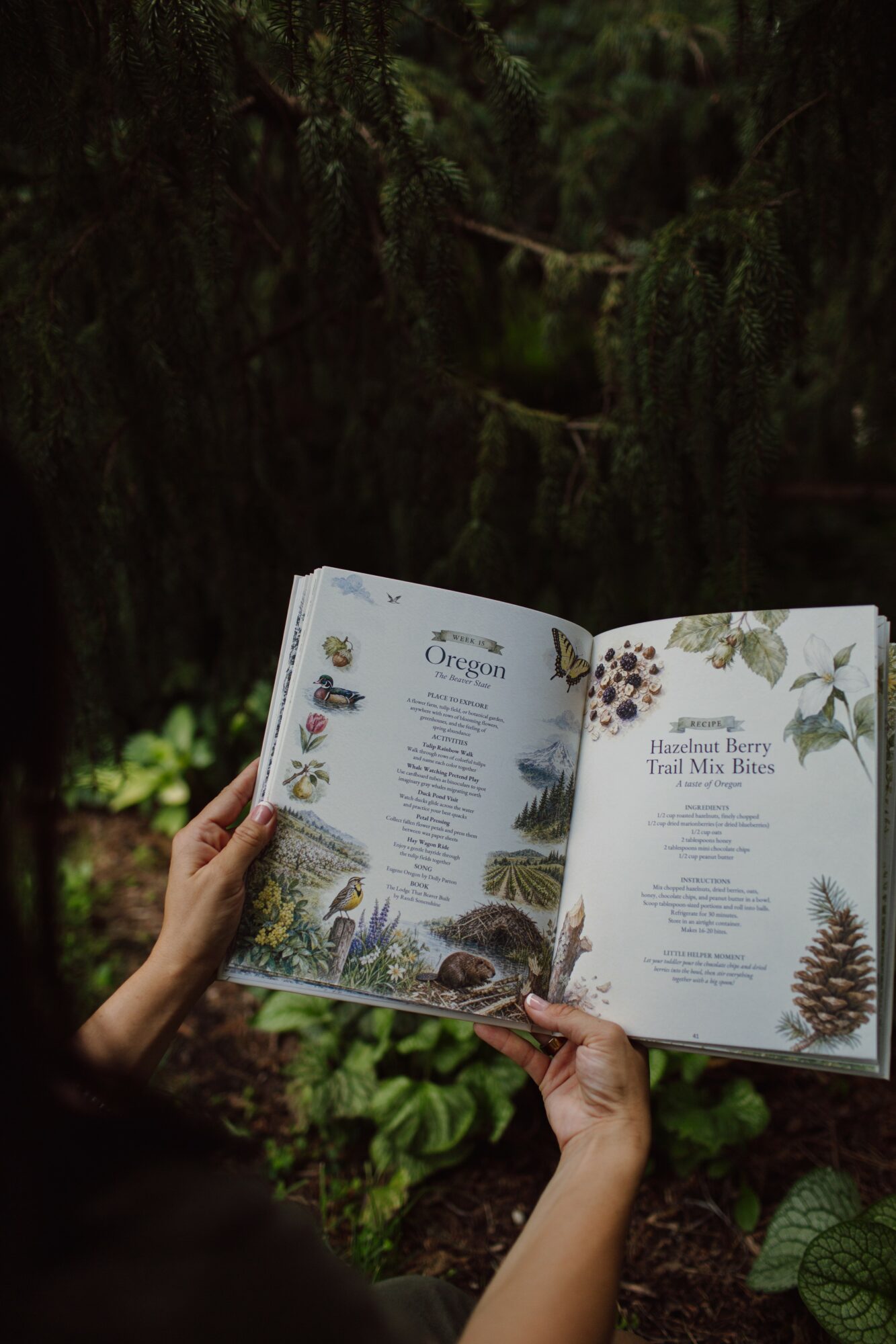 Person holding an open book with nature illustrations in a forest setting.