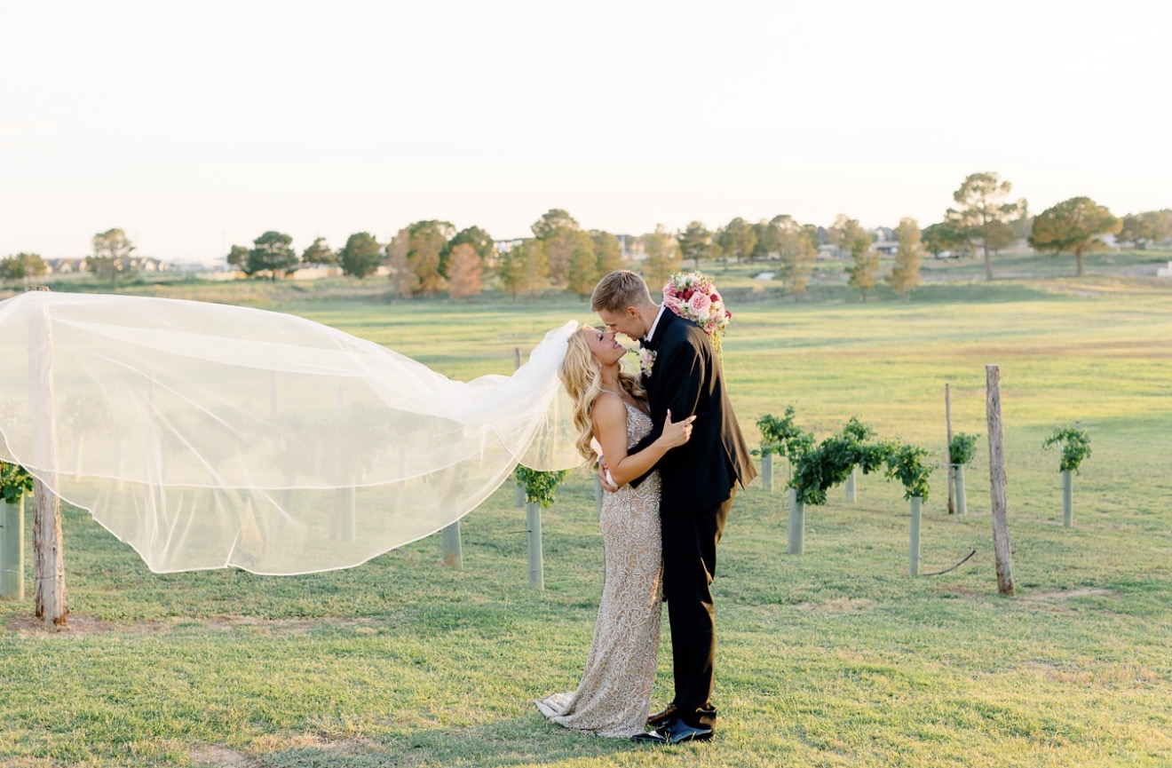Two people stand in a grassy field, holding hands, with a flowing white fabric behind them, trees and a fence in the background.