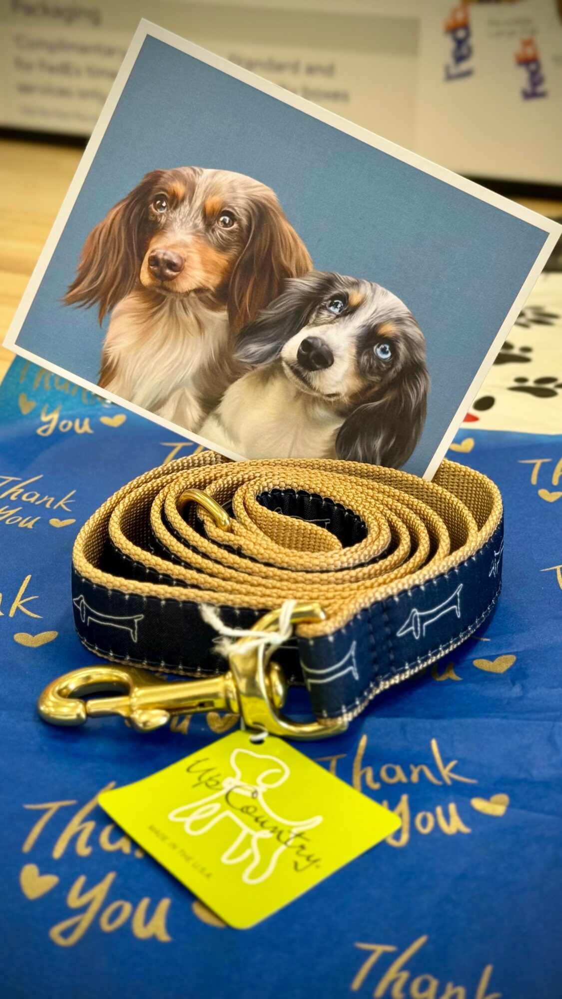 Photograph of two dogs, one with long ears and the other with a short snout, on a blue background. A rolled dog leash with a yellow tag is in front. The background includes thank you messages.