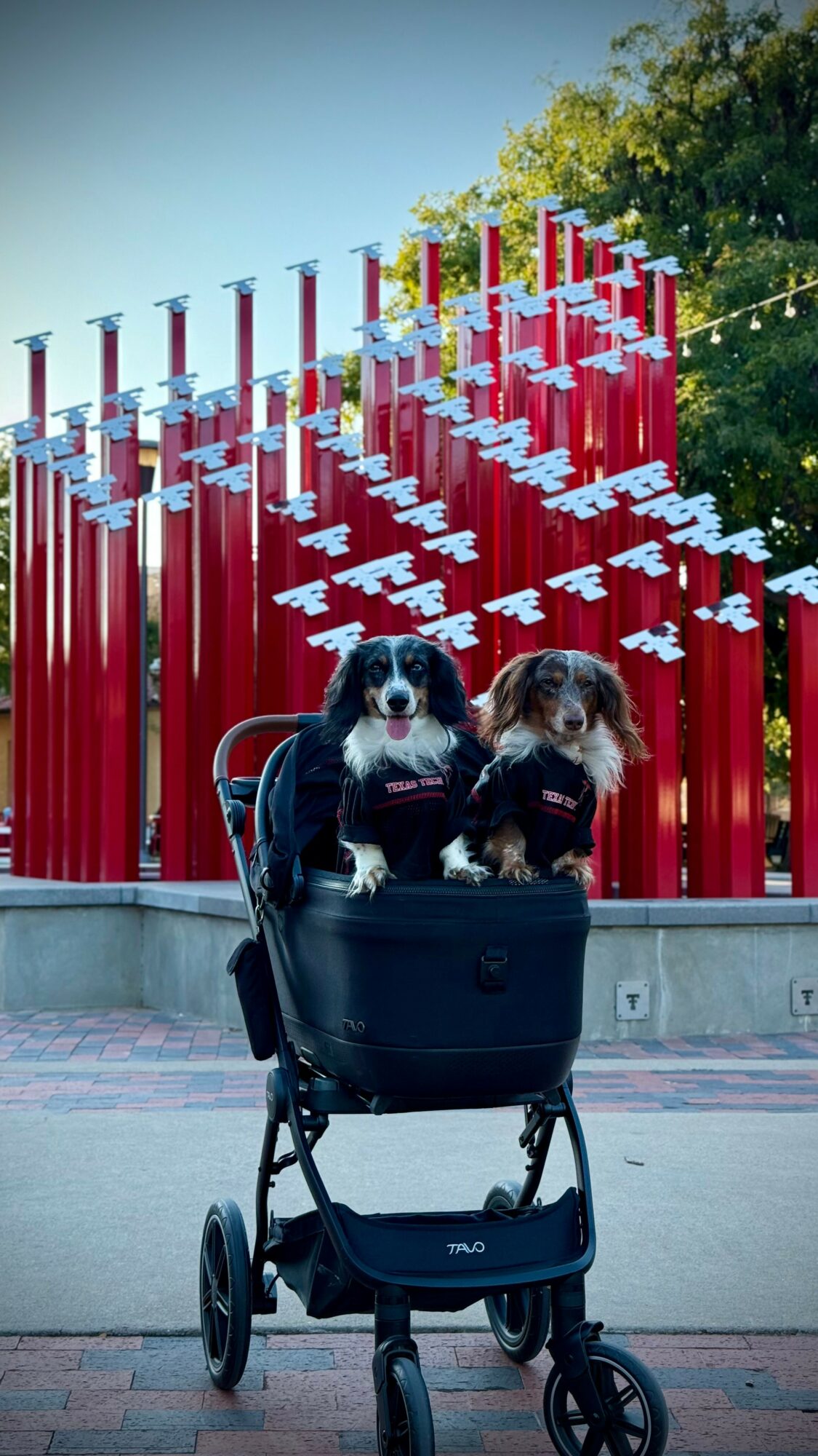 Two dogs in a stroller in front of colorful vertical poles with trees in the background.
