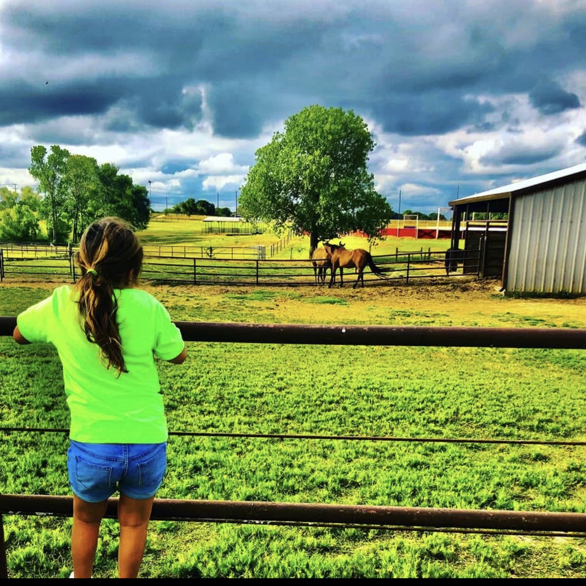 Child in bright green shirt and blue shorts looking at horses in a fenced field with trees and a barn, cloudy sky.