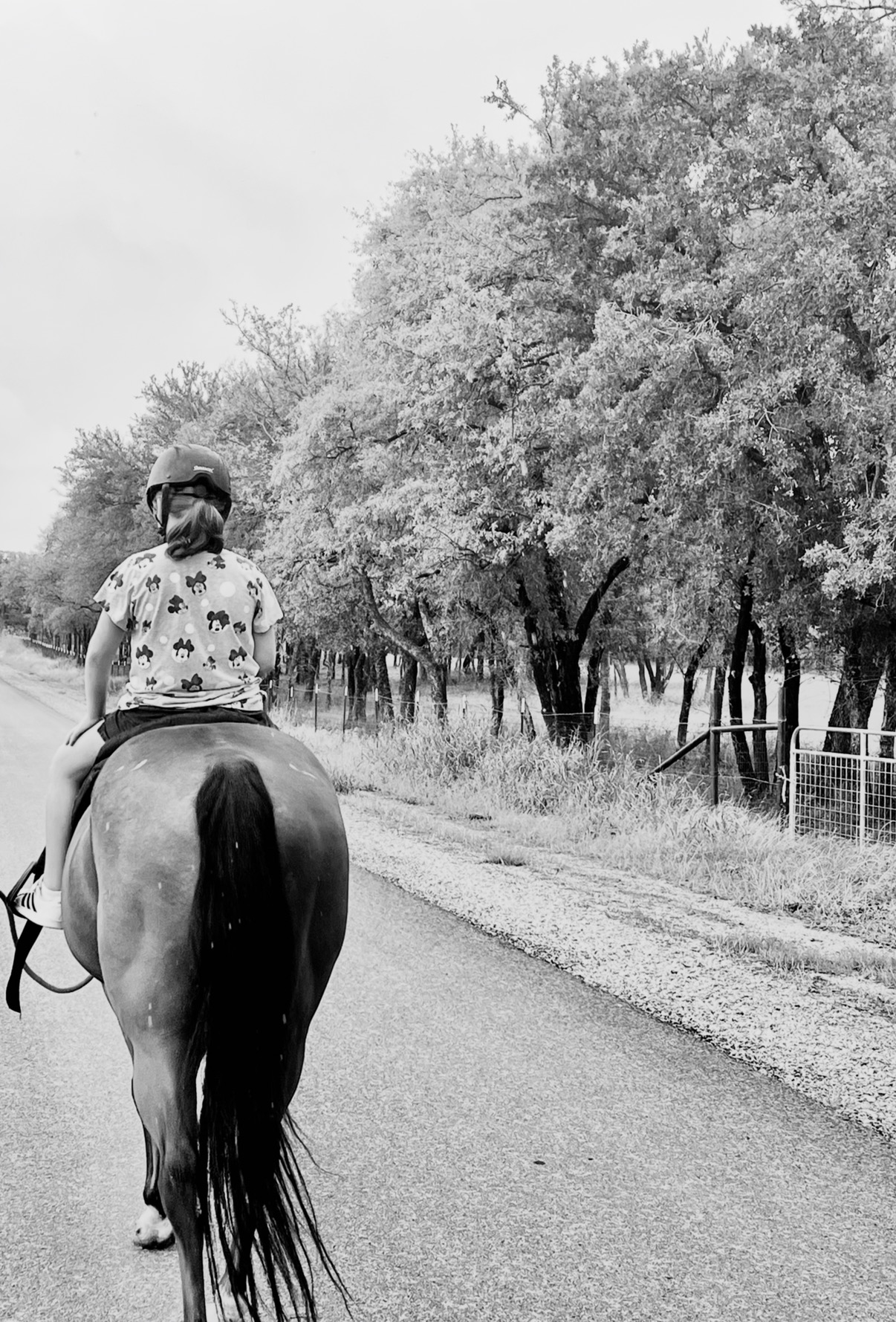 Person riding a horse on a road lined with trees and a fence, black and white image.