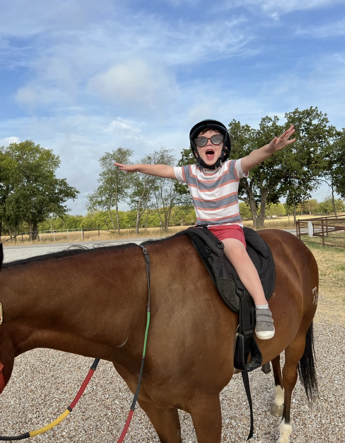 Child wearing helmet and glasses, arms outstretched, sitting on a brown horse outdoors with trees and blue sky.