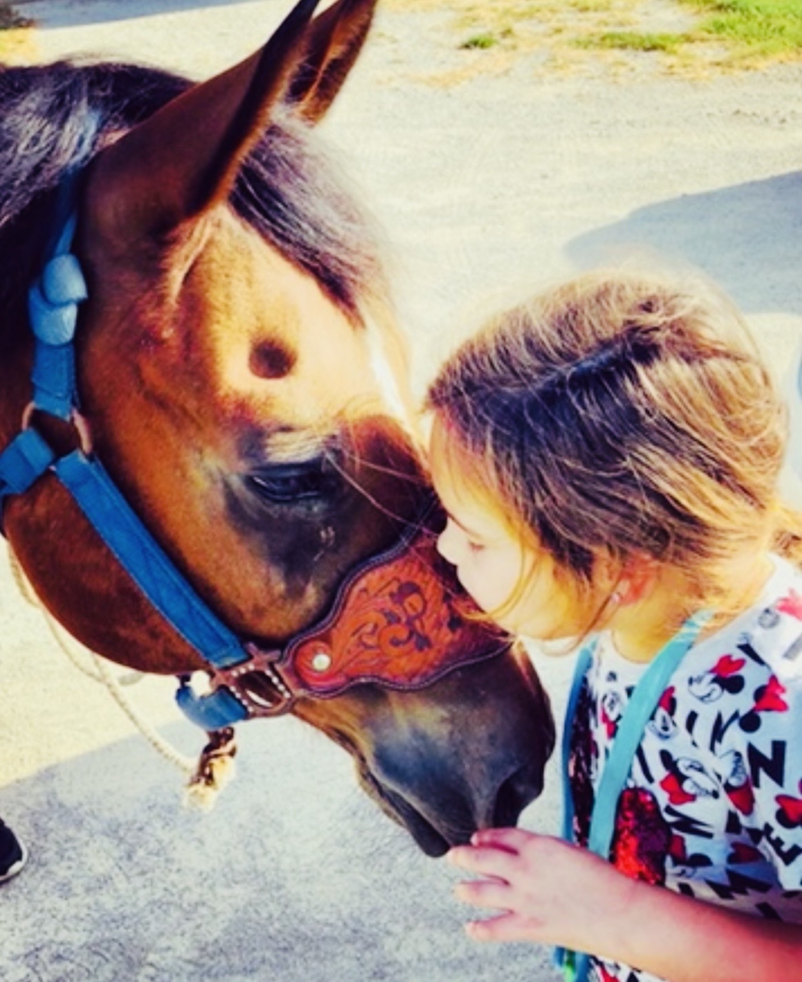 Child and horse nose-to-nose outdoors, child touching horse's face, bright sunlight, colorful clothing, horse with blue halter.