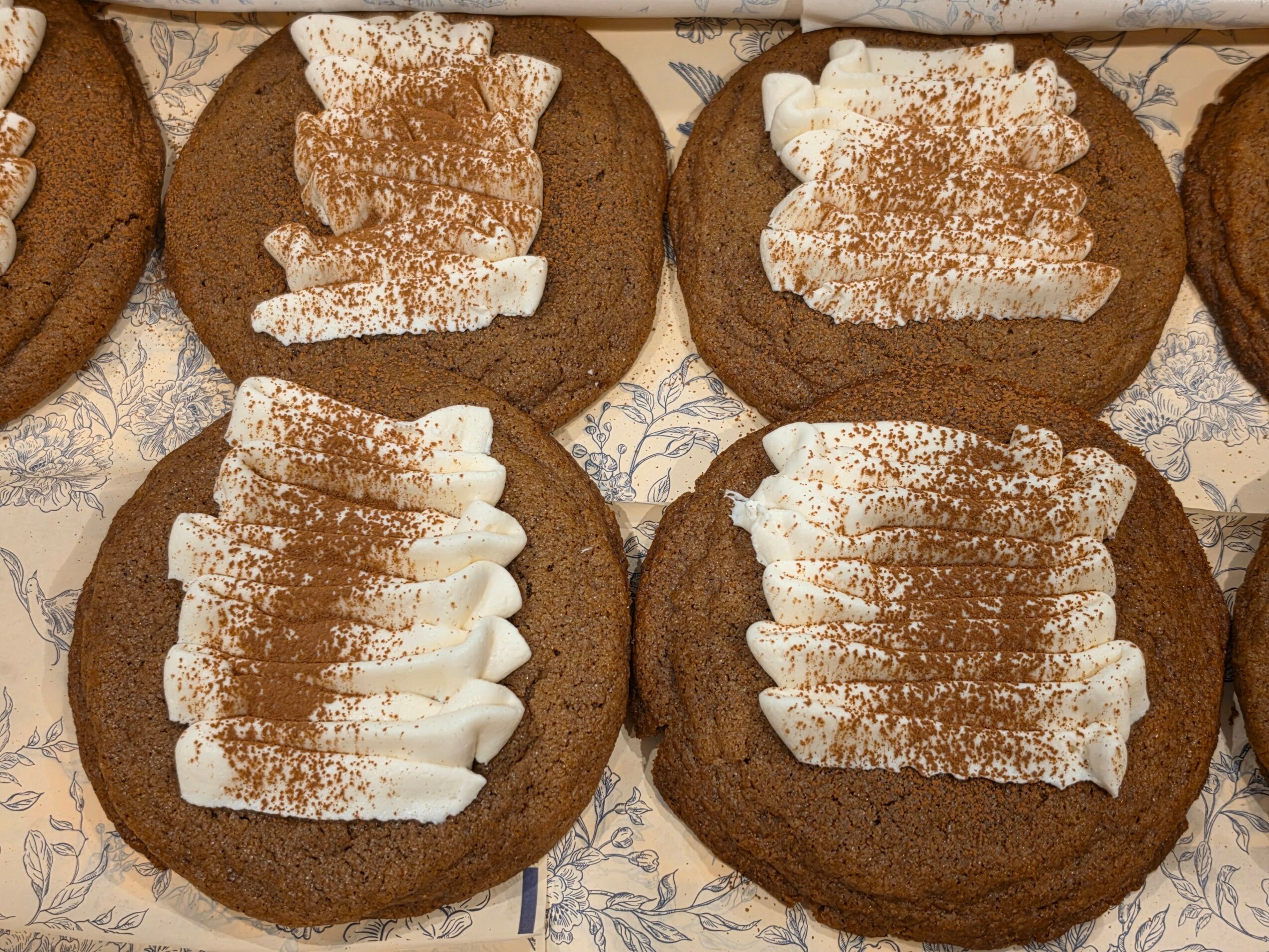 Four cookies decorated with white icing and cocoa powder, arranged on a patterned surface.