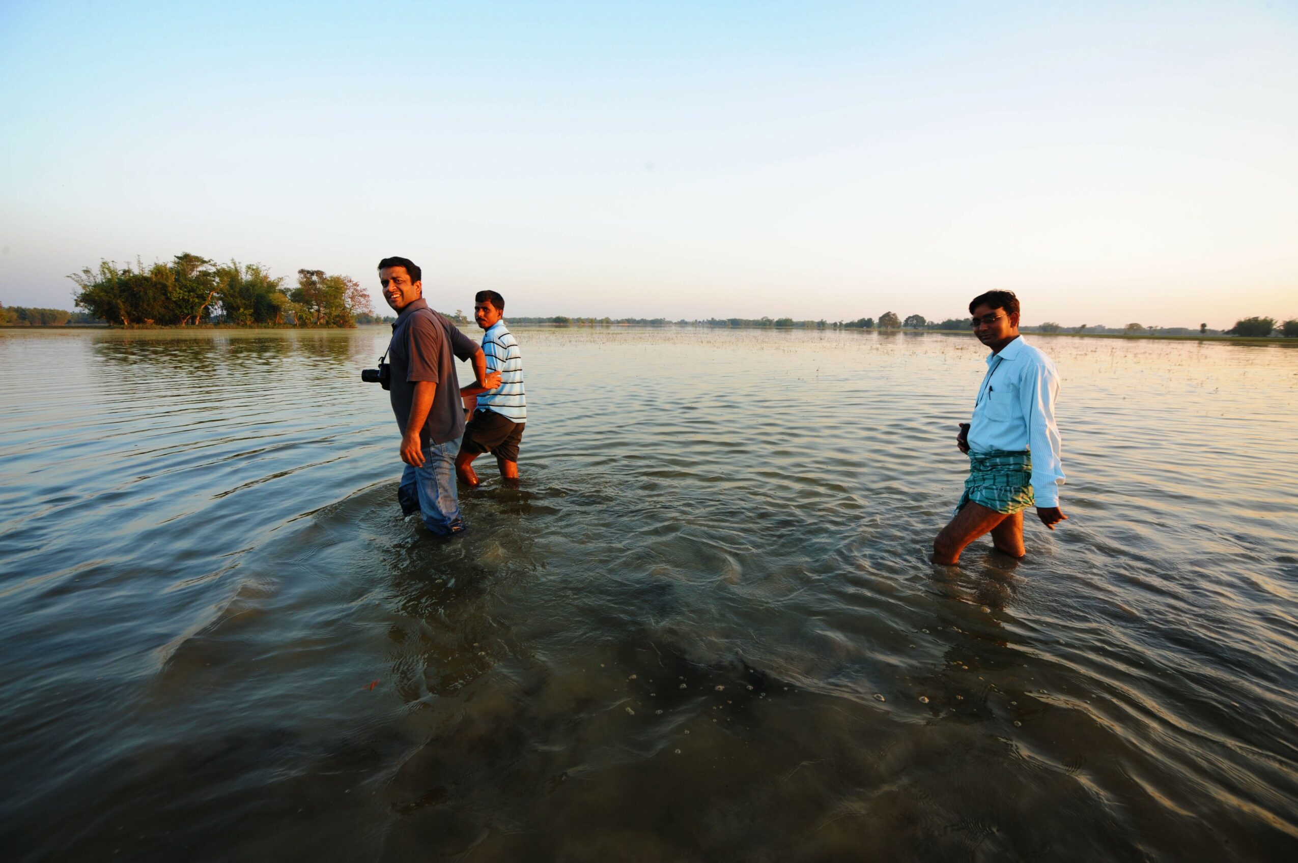 Four people wading in water near a shoreline with trees in the background, under a clear sky.