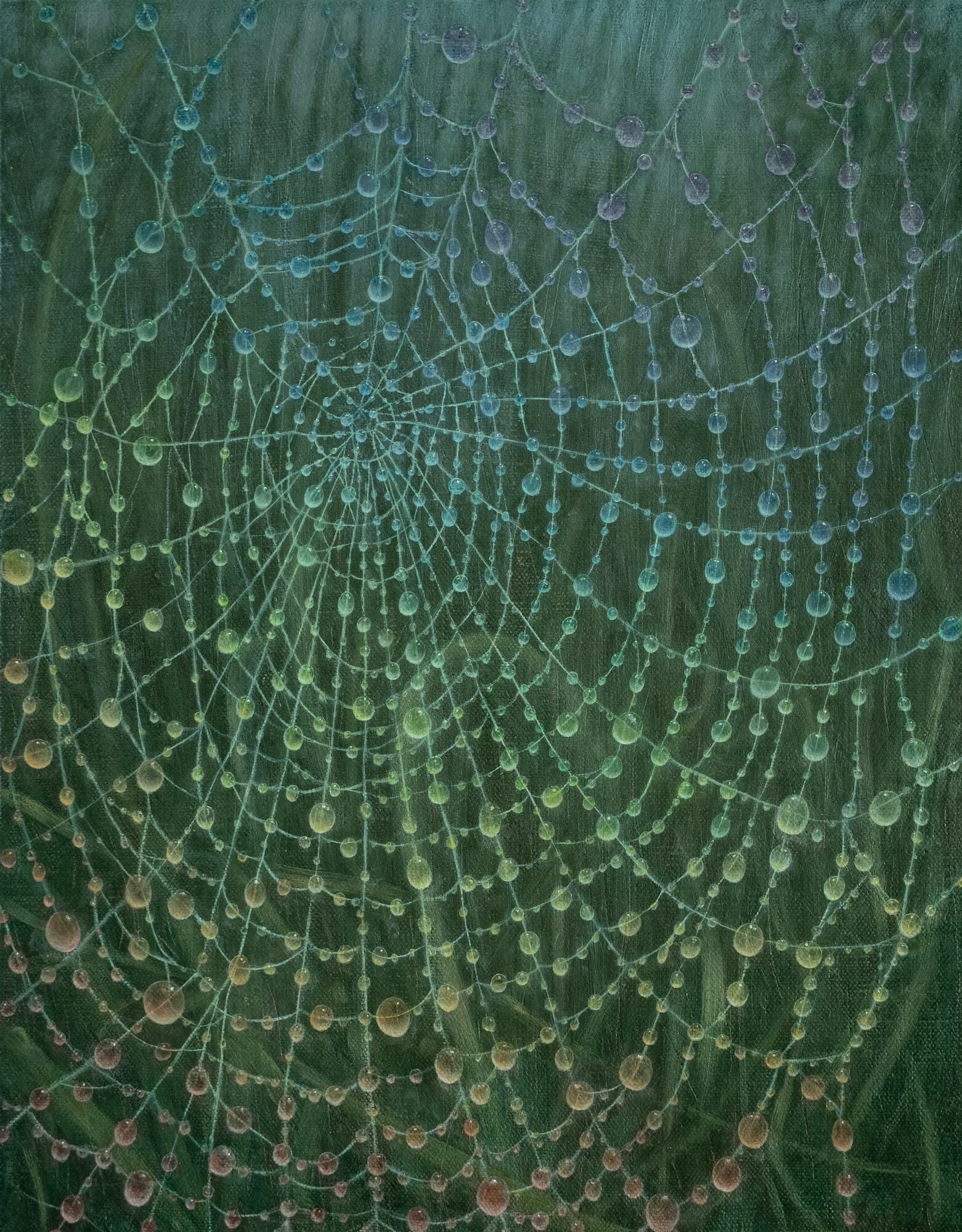 Close-up of a spider web with dew drops, intricate pattern, against a blurred green background.