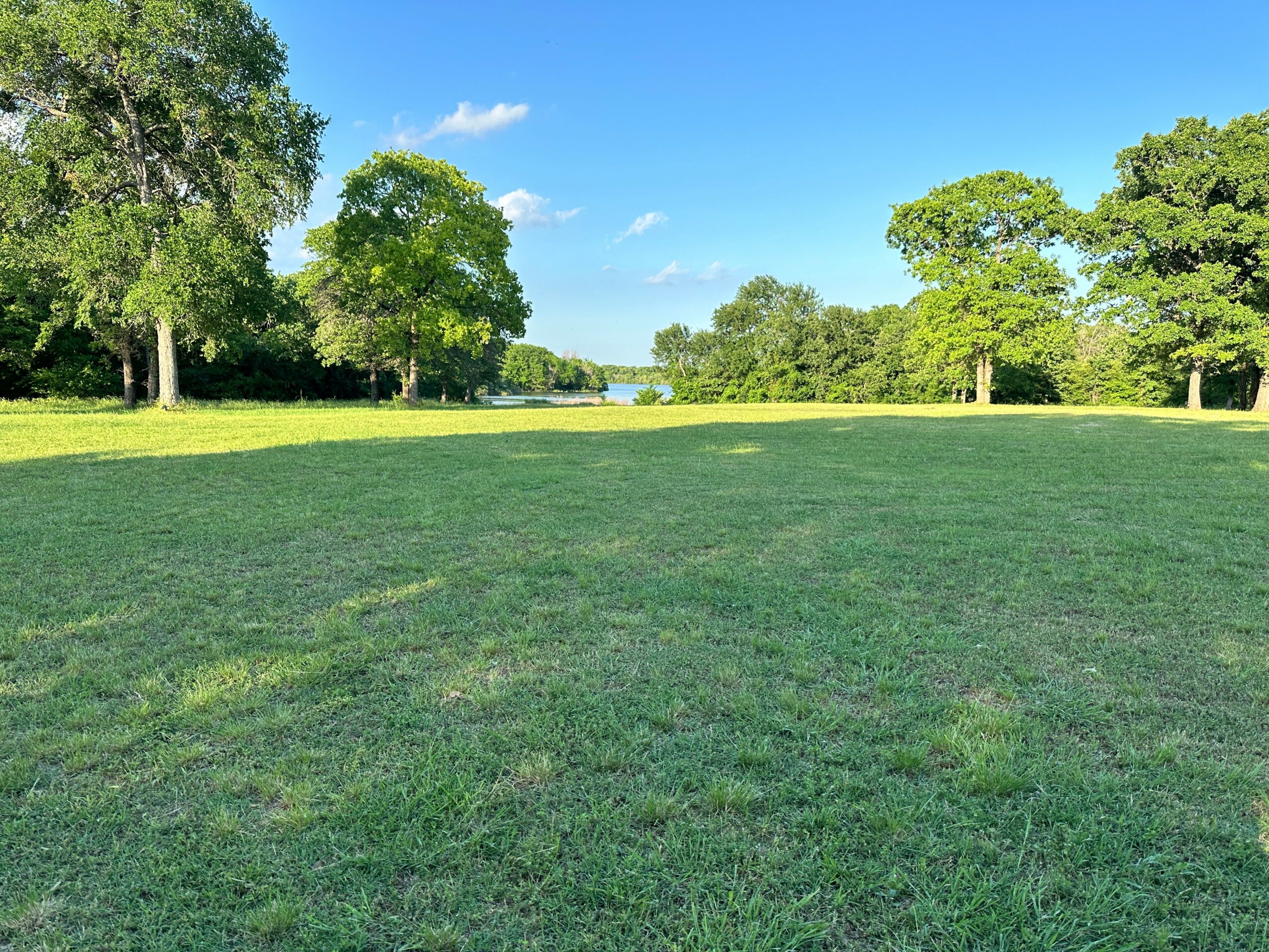 Open grassy park with trees and blue sky, water visible in the distance, bright and sunny day.