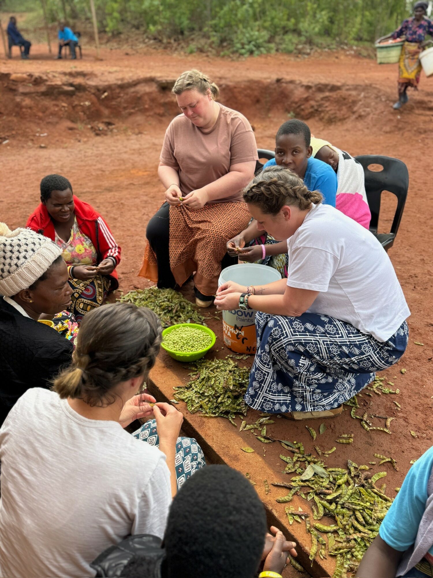 Group of people sitting on the ground outdoors, preparing and handling green leaves and herbs, with a dirt area and trees in background.