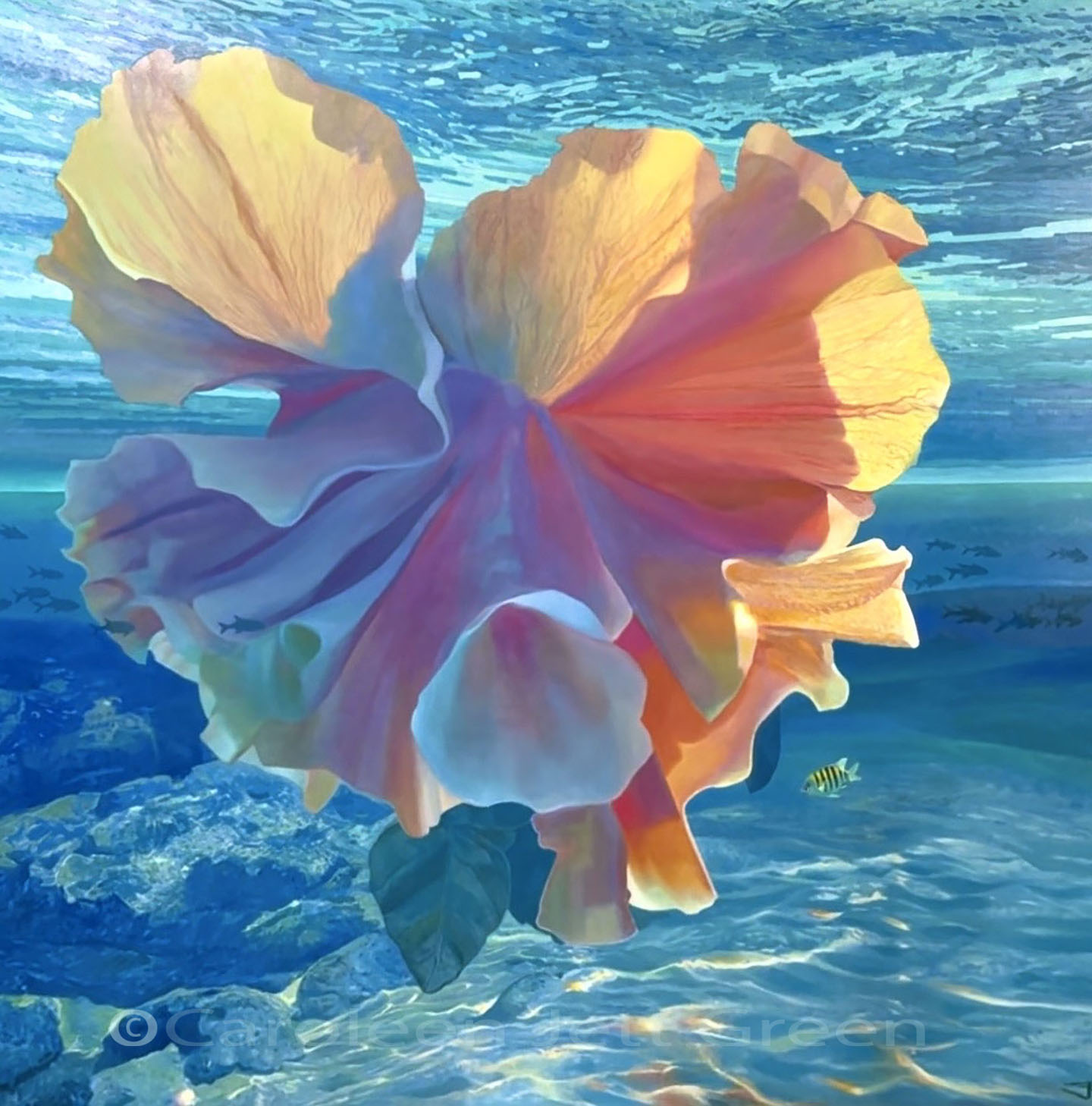 Colorful flower-shaped object underwater with blue water background, sunlight reflections, and small fish nearby.