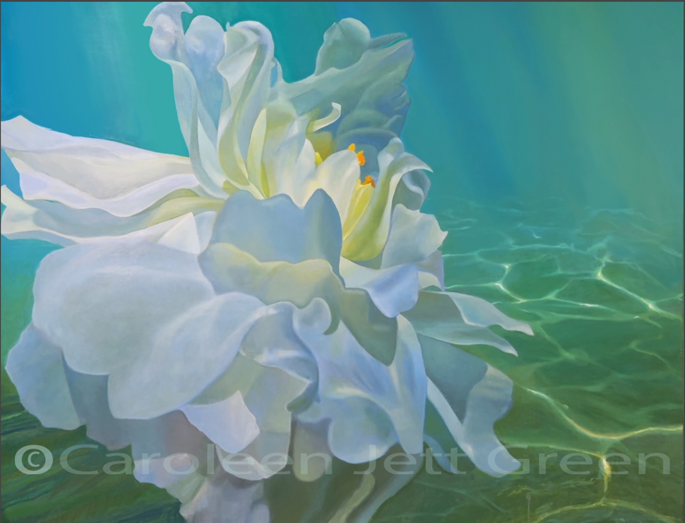 A white flower floating on water with ripples, in a soft, pastel color palette.