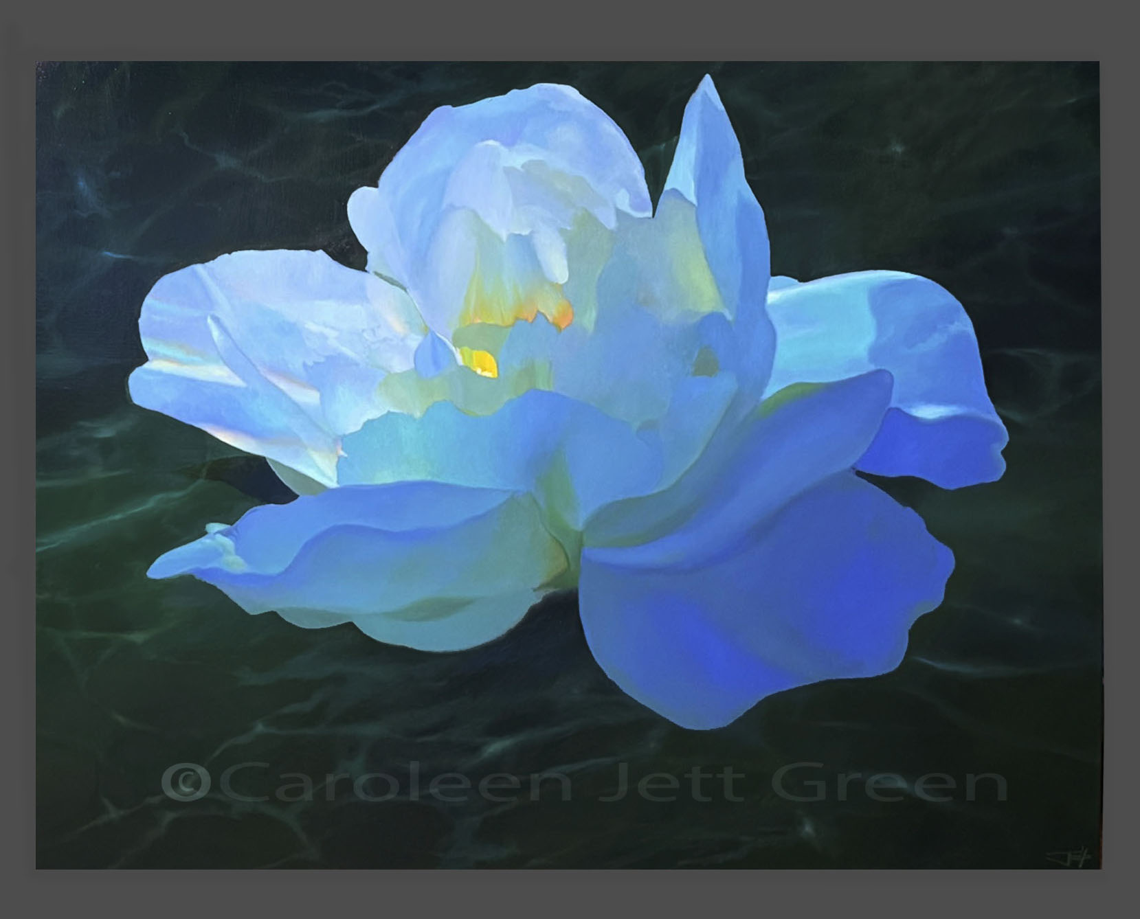 A painting of a white and blue flower floating on dark water, with soft, layered petals and a yellow center.