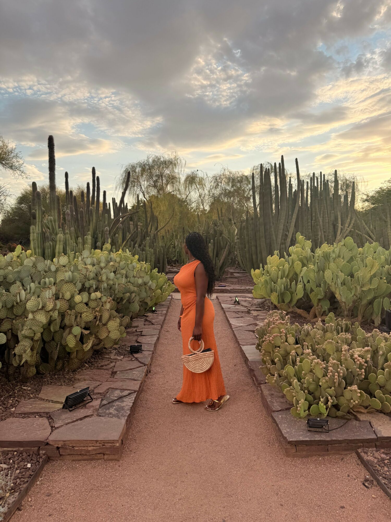 Person in orange clothing walking on a path surrounded by cacti and desert plants under cloudy sky.