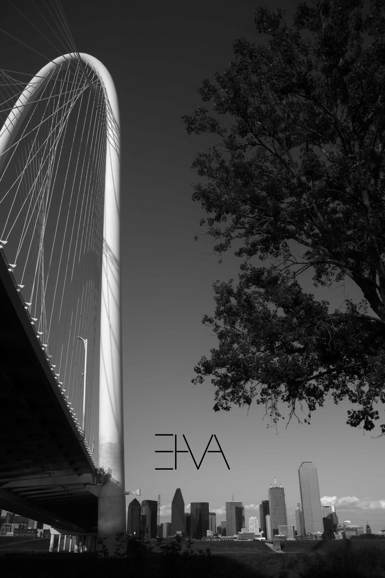 Bridge with tall arch and suspension cables, city skyline in background, tree on right, black and white image.