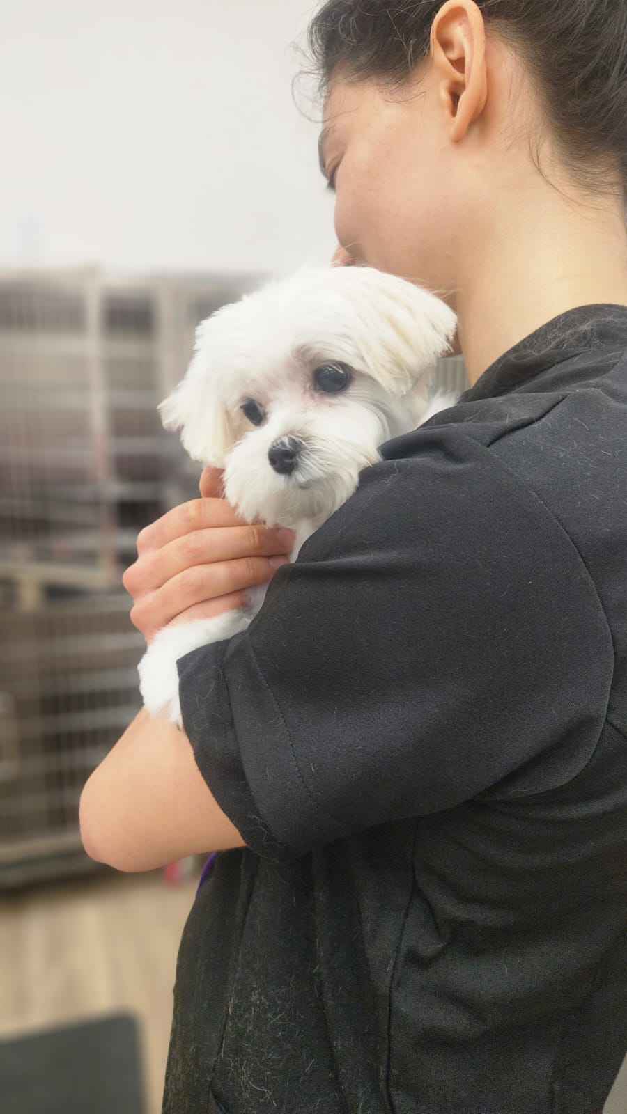 Person holding a small white puppy close to their chest, facing sideways, in an indoor setting.